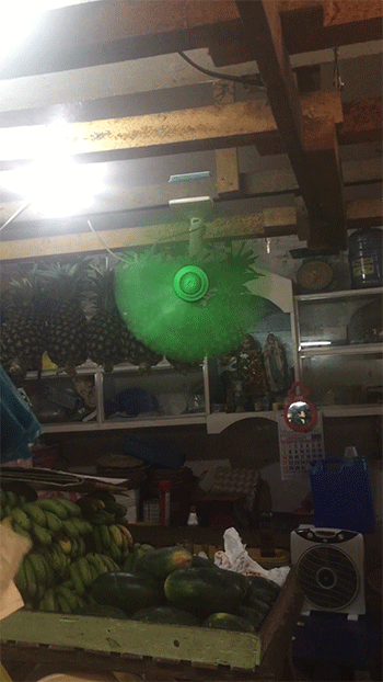 greenfan.gif