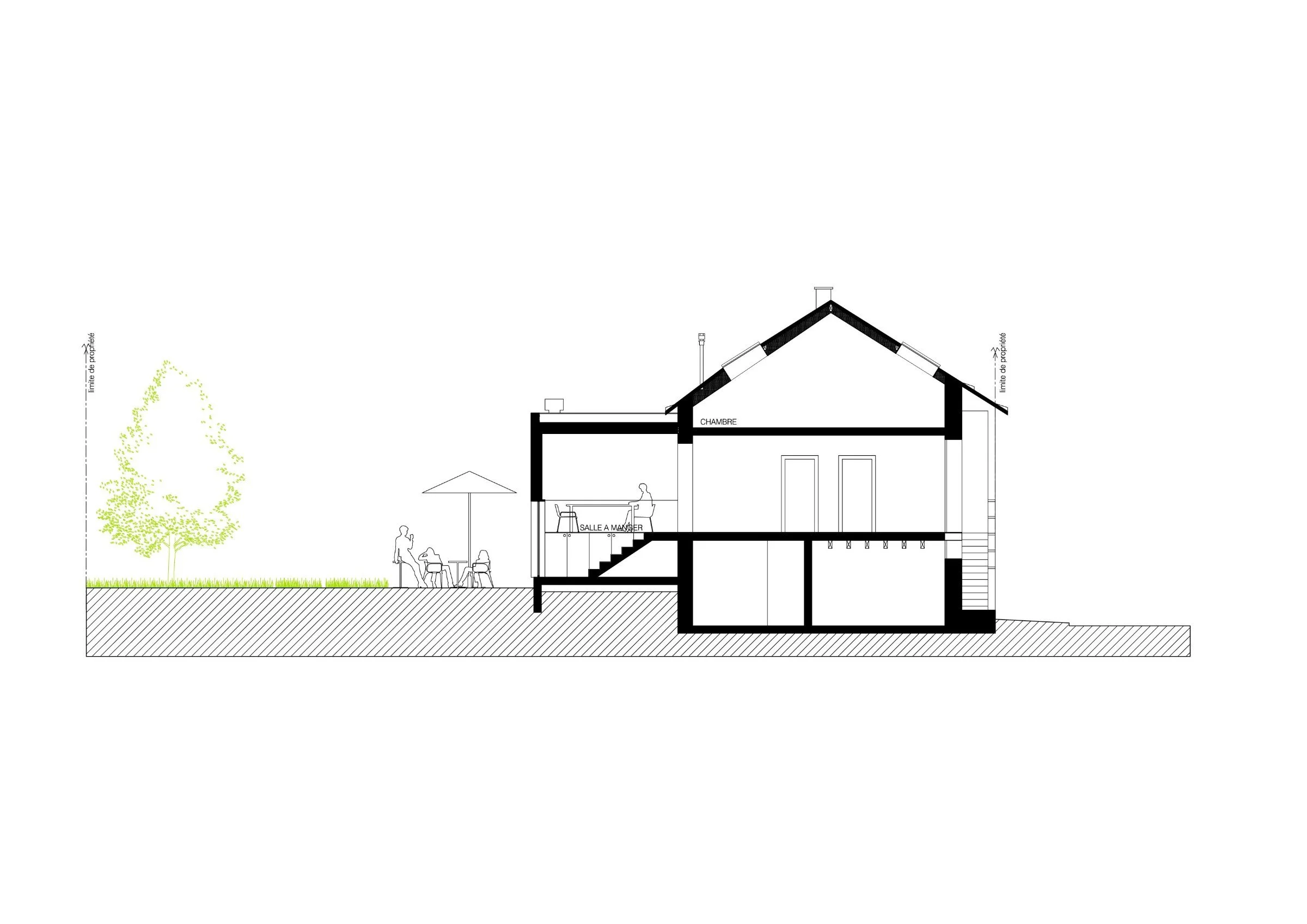 Coupe sur l'extension ACAJOU : maison de ville à Nantes, extension en ossature bois sur le jardin