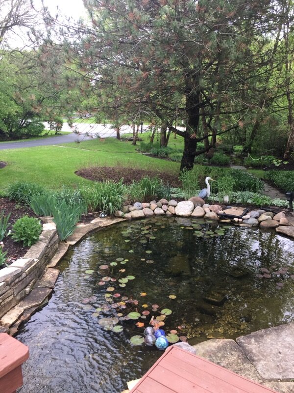 Peck's pond from deck.jpg