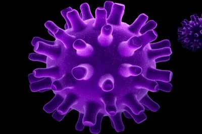 Virology: Ups and downs in the search for a Herpes simplex virus vaccine