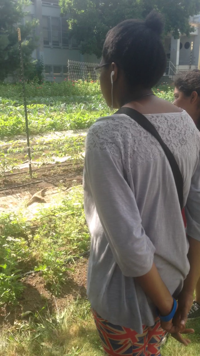  The students visit the student run Youth Farm at the Highschool for Public Service in Crown Heights. 
