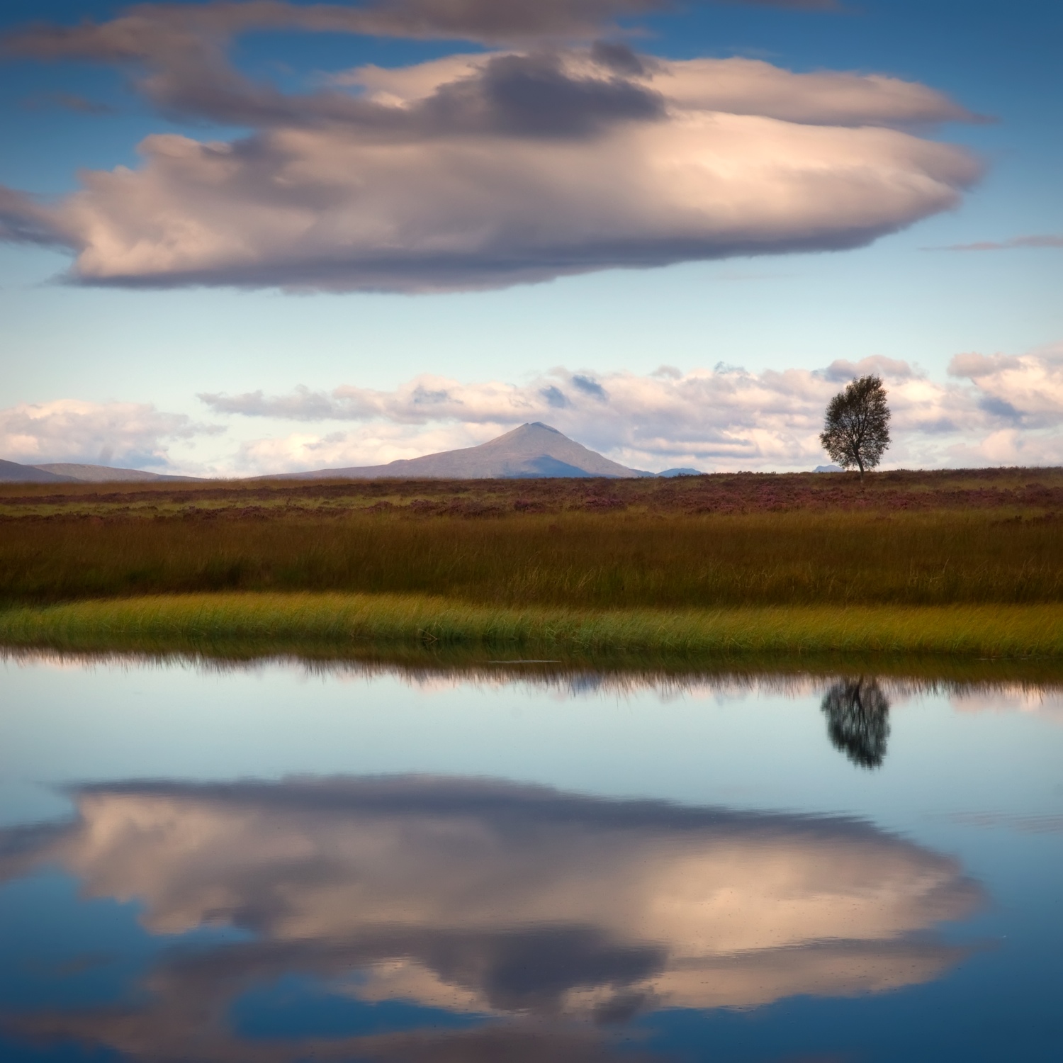 Ben Lomond