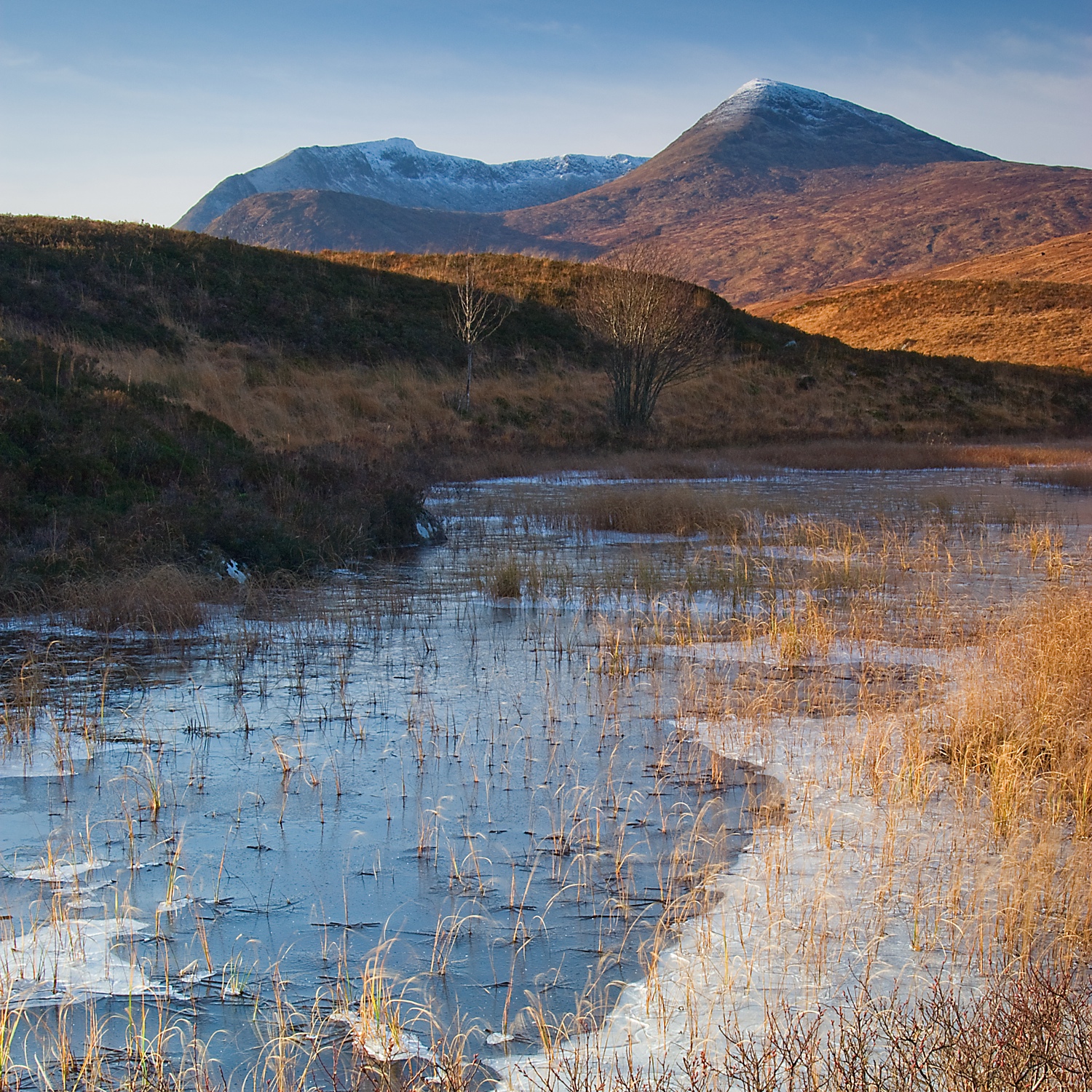 Black Mount, Argyll