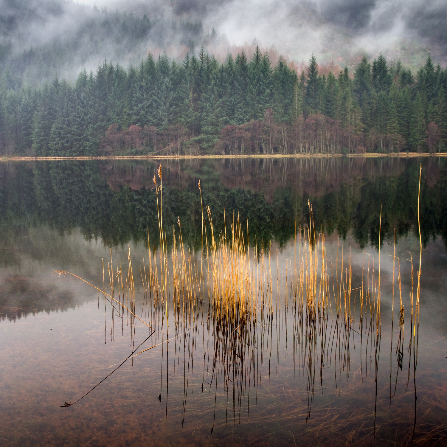 Loch Chon, Trossachs