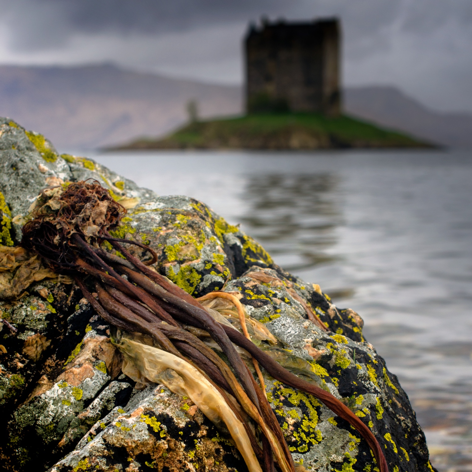 Castle Stalker, Appin