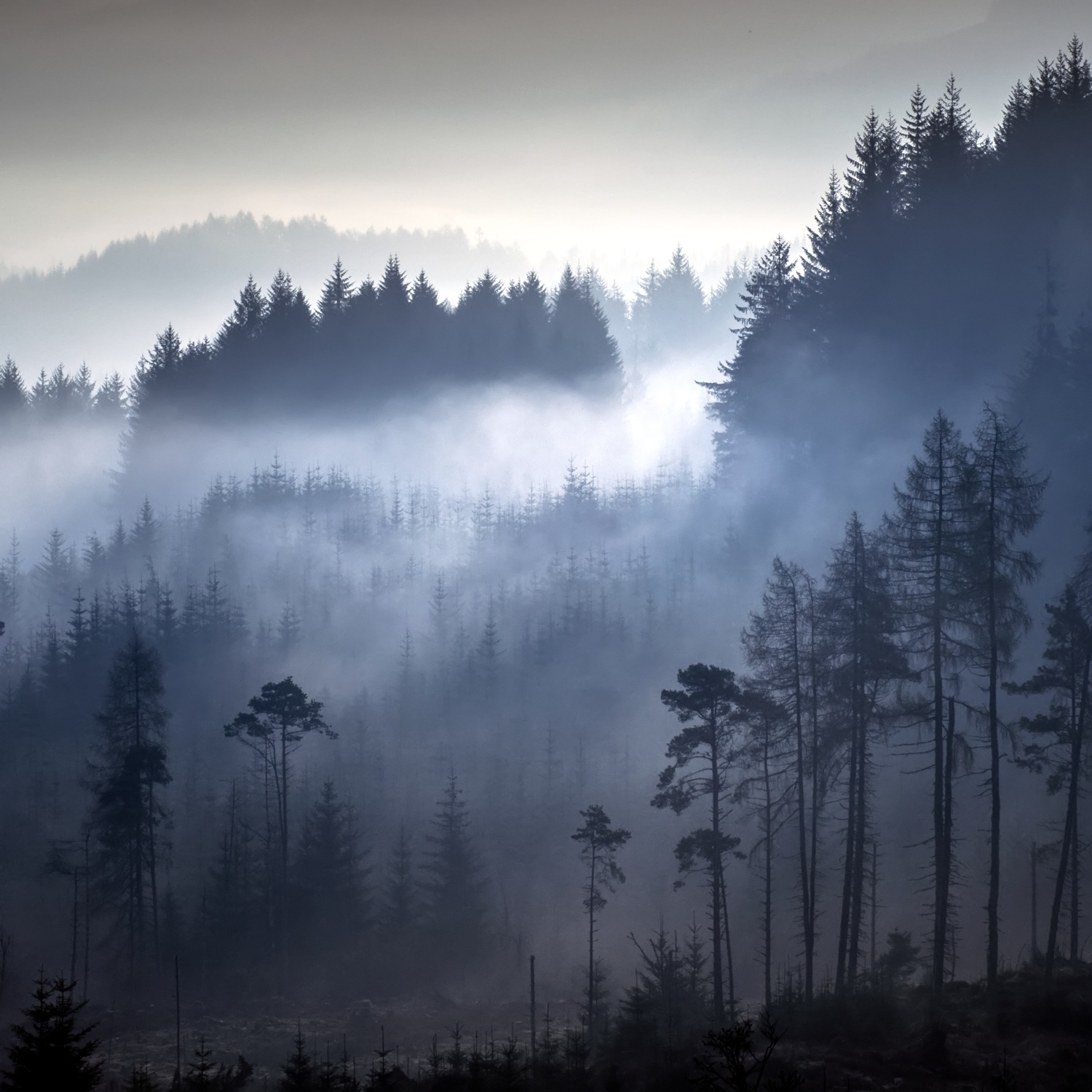 Dukes Pass, Trossachs