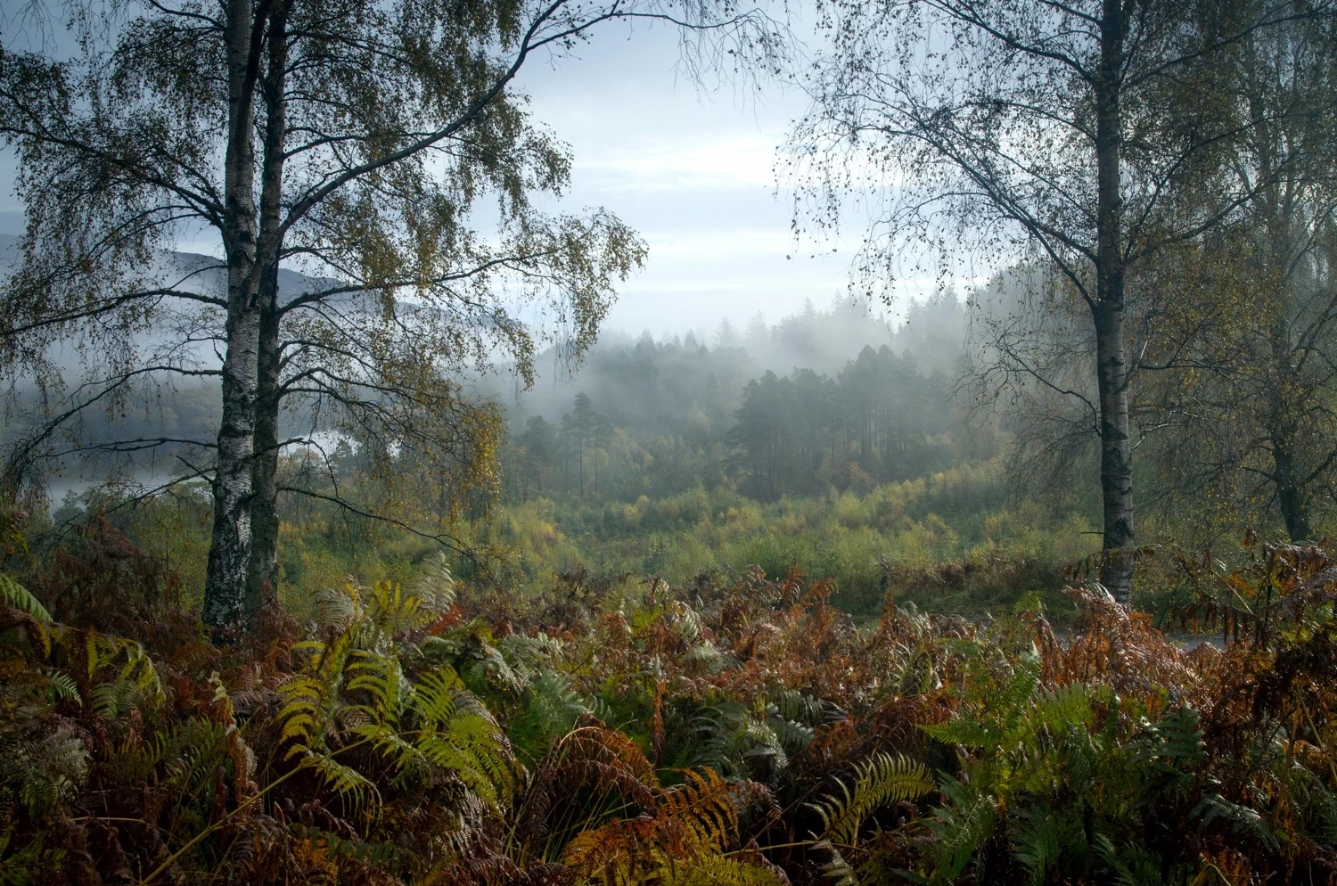 Dukes Pass, Trossachs