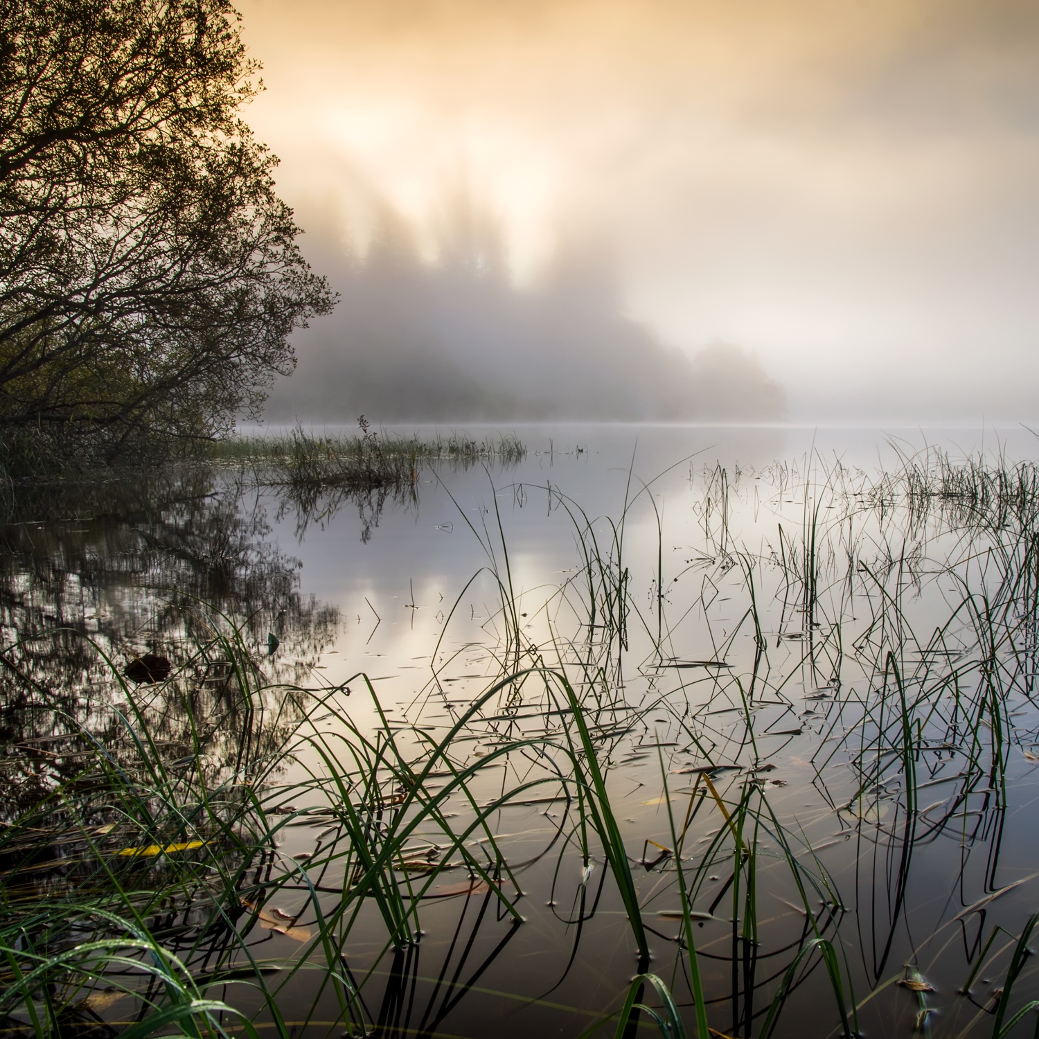 Loch Ard, Trossachs