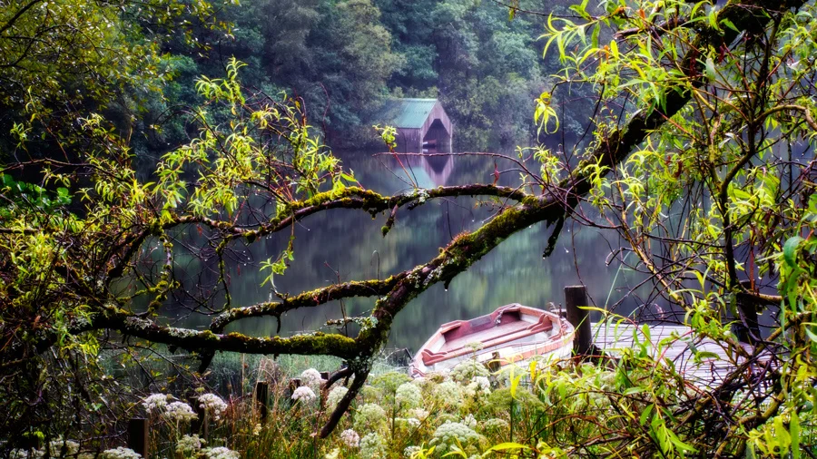 Summer light, Milton Basin