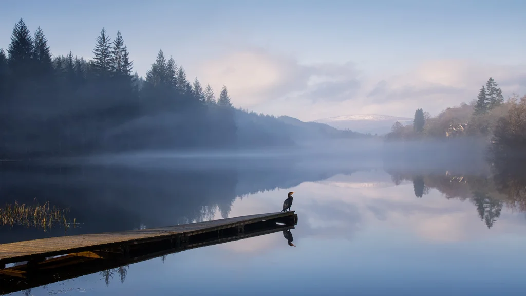 Fisherman, Boathouse Bay