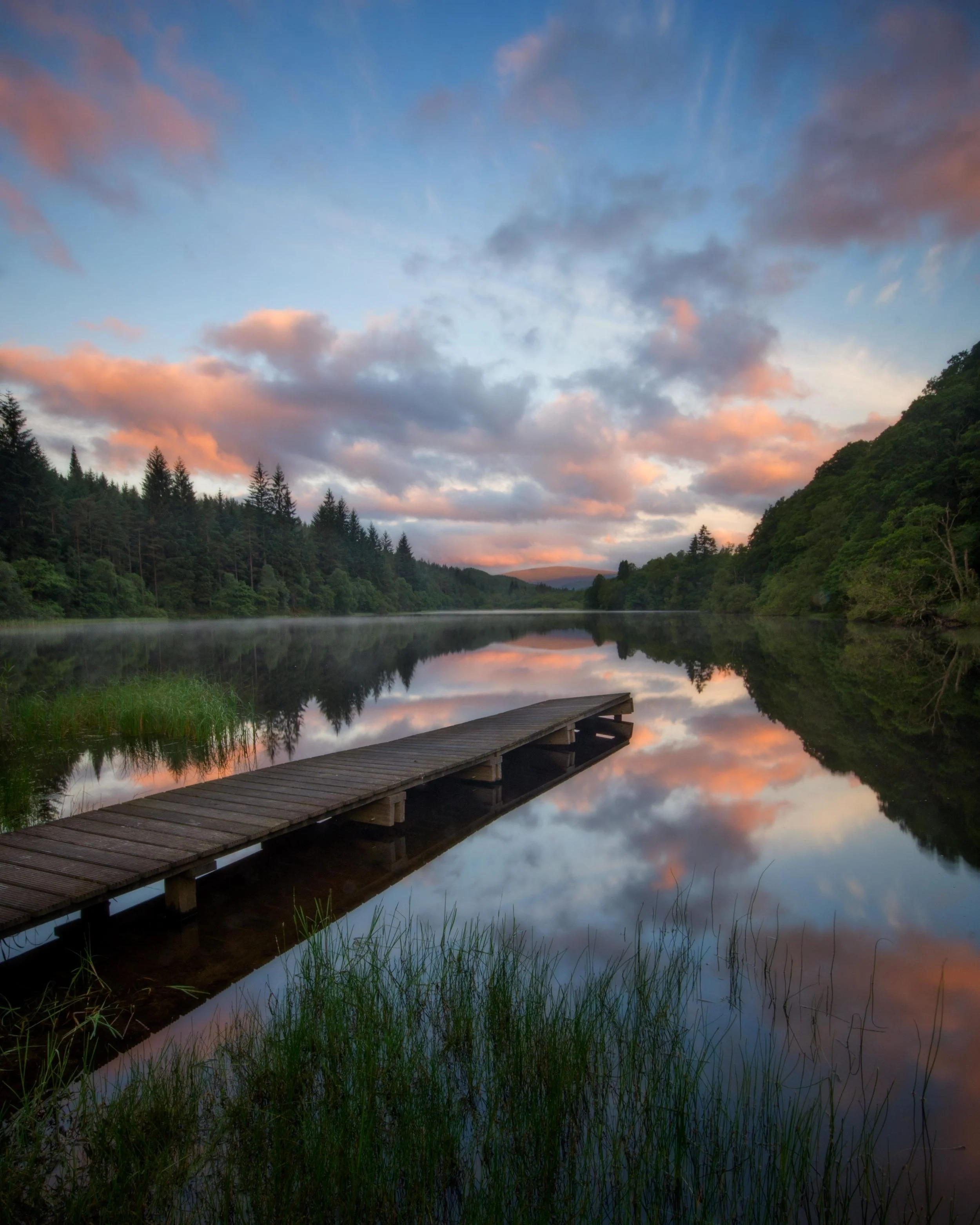 Early summer Light, Boathouse Bay