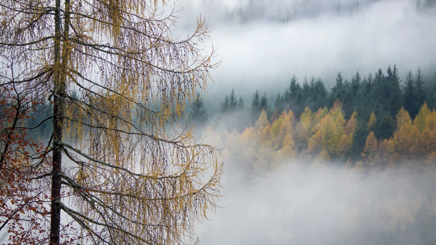 Strathyre
