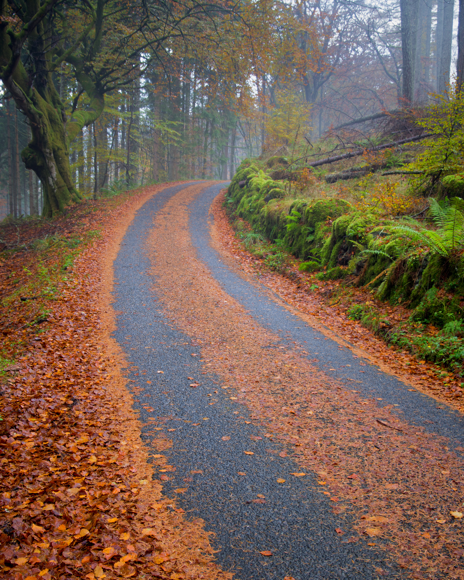 Forest Bend, Strathyre