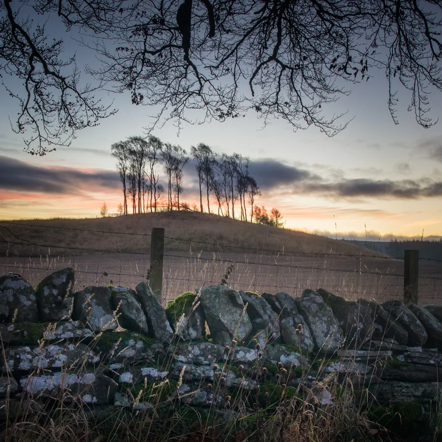 Dunblane Copse...