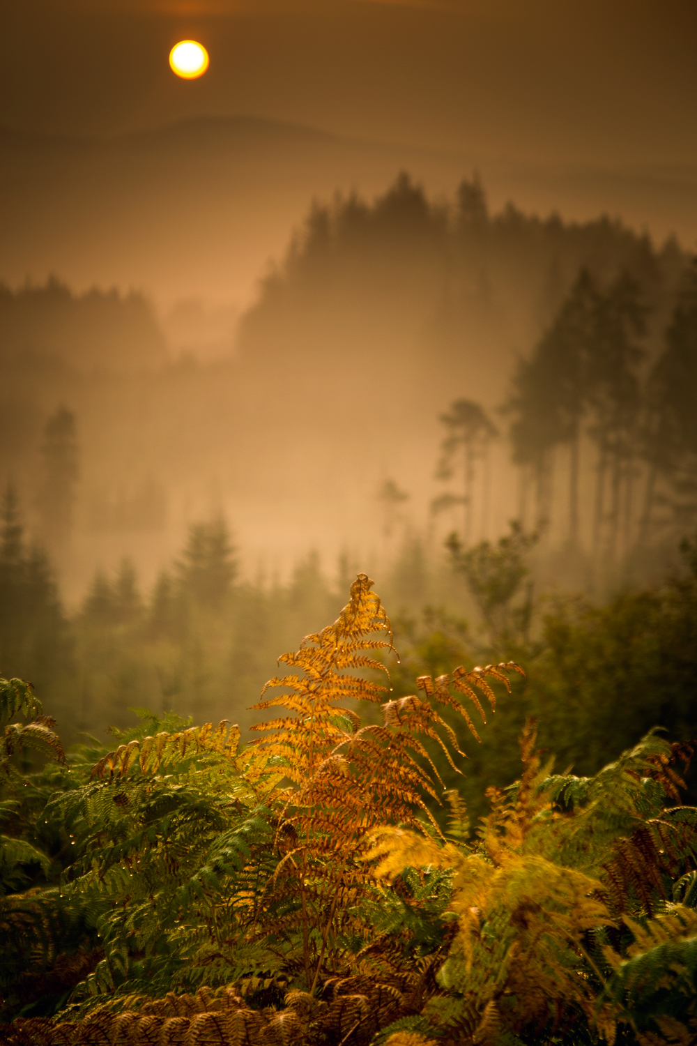 Dukes Pass, Trossachs