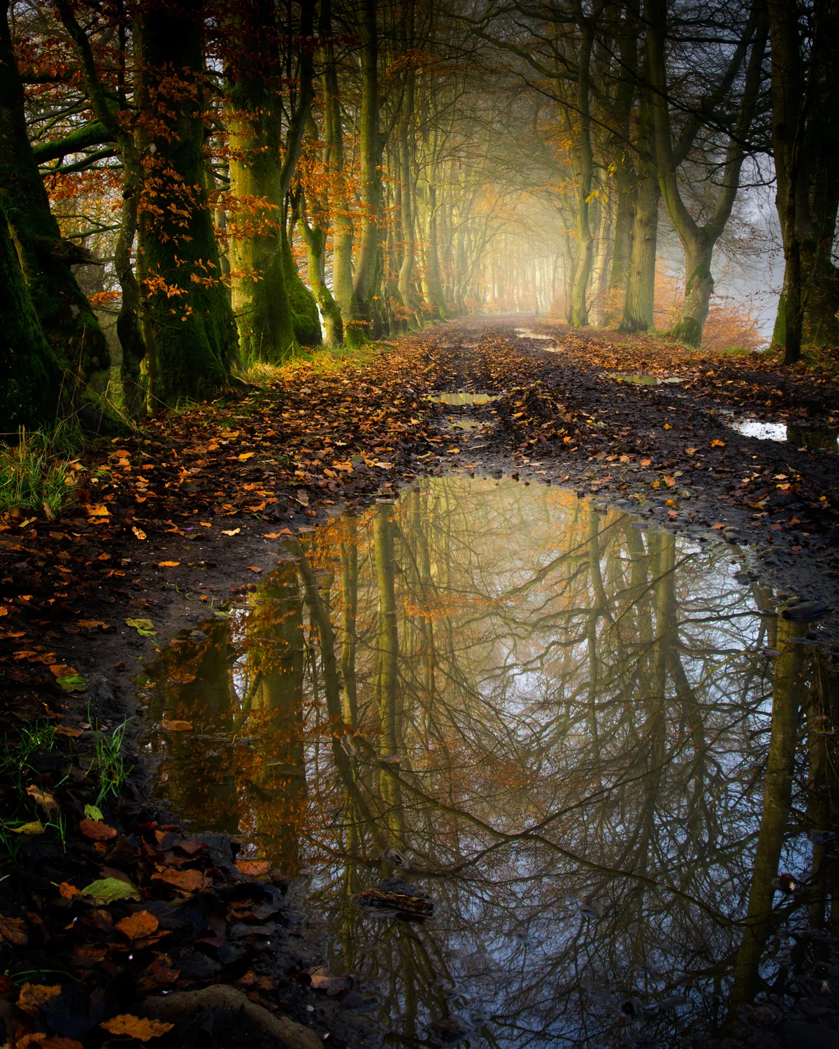 River Endrick Autumn Walk