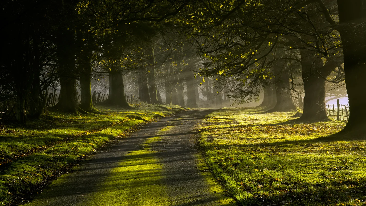 Culcreuch Castle morning light