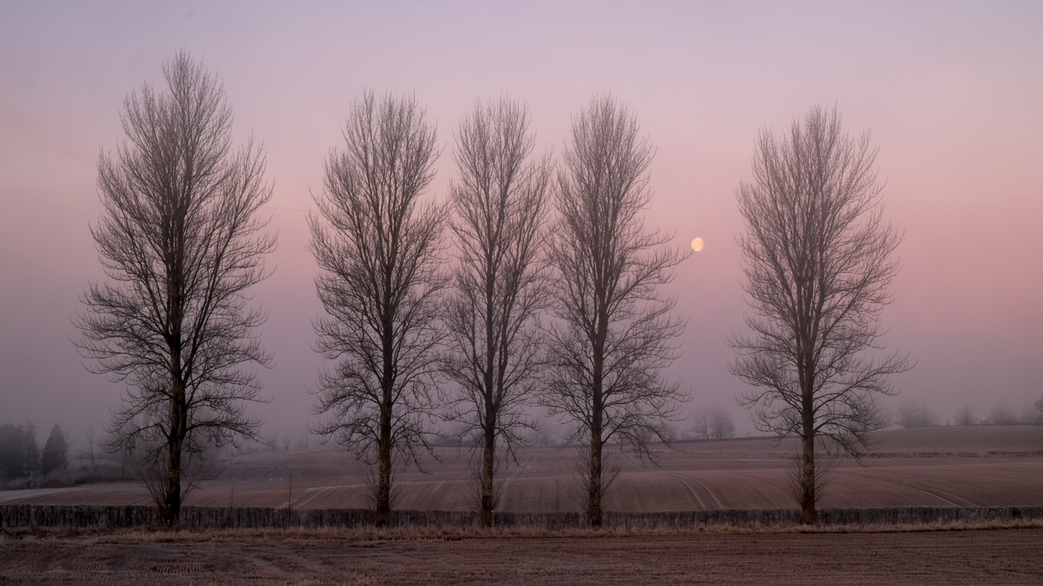 Gargunnock, Stirlingshire