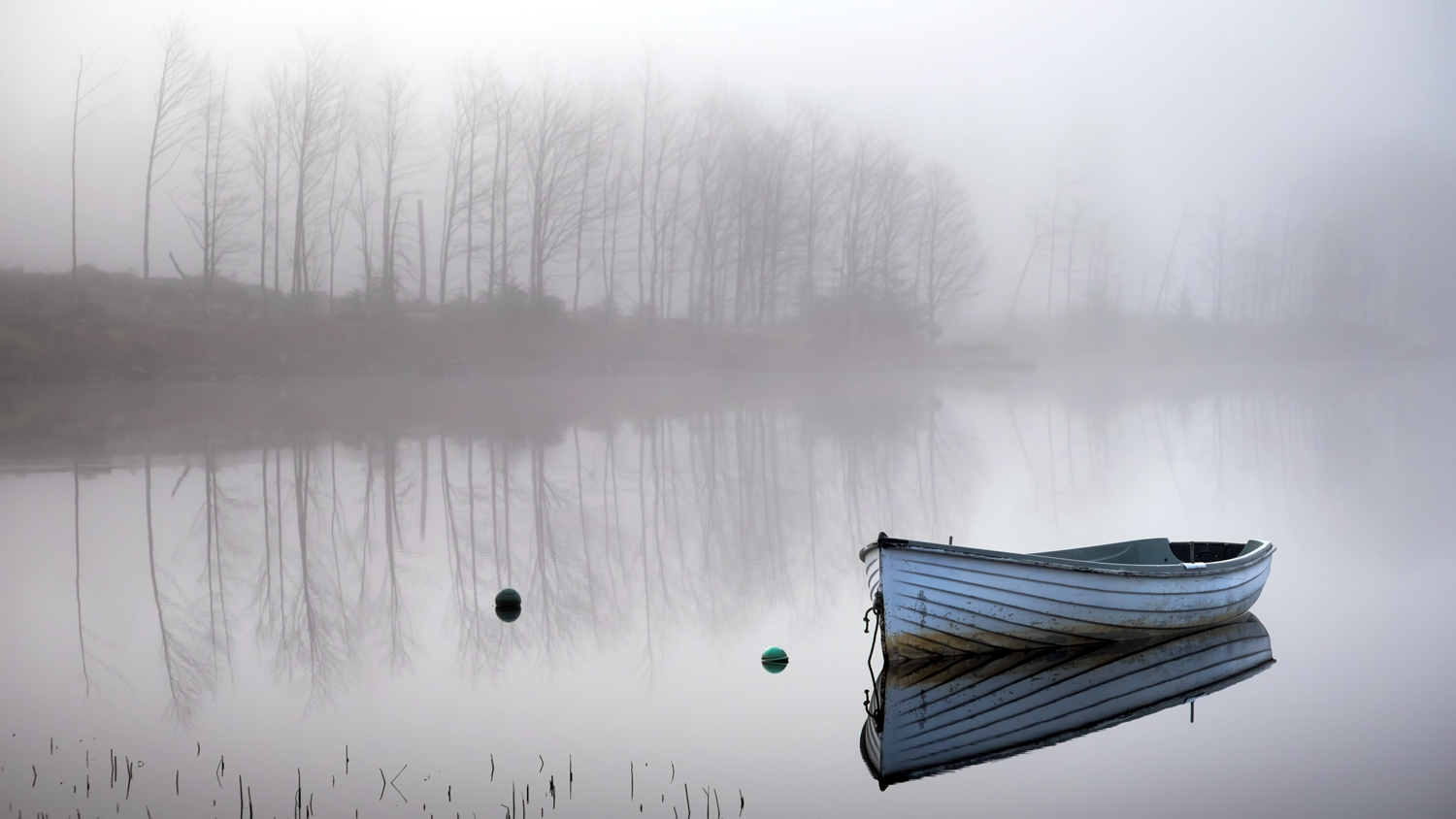 Loch Rusky misty trees