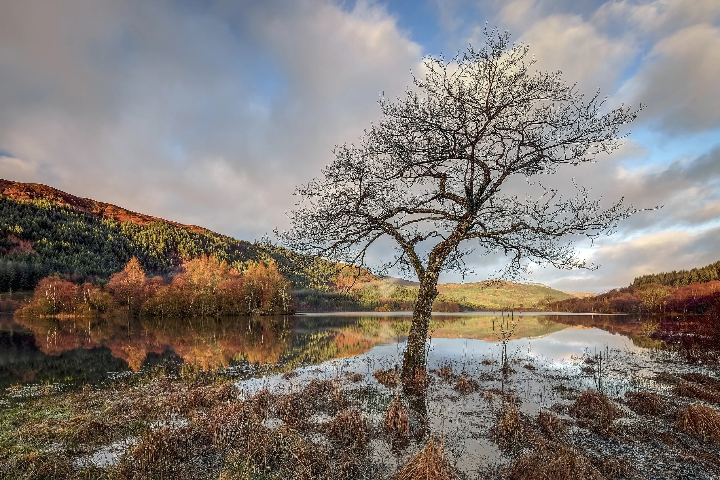 Loch Chon