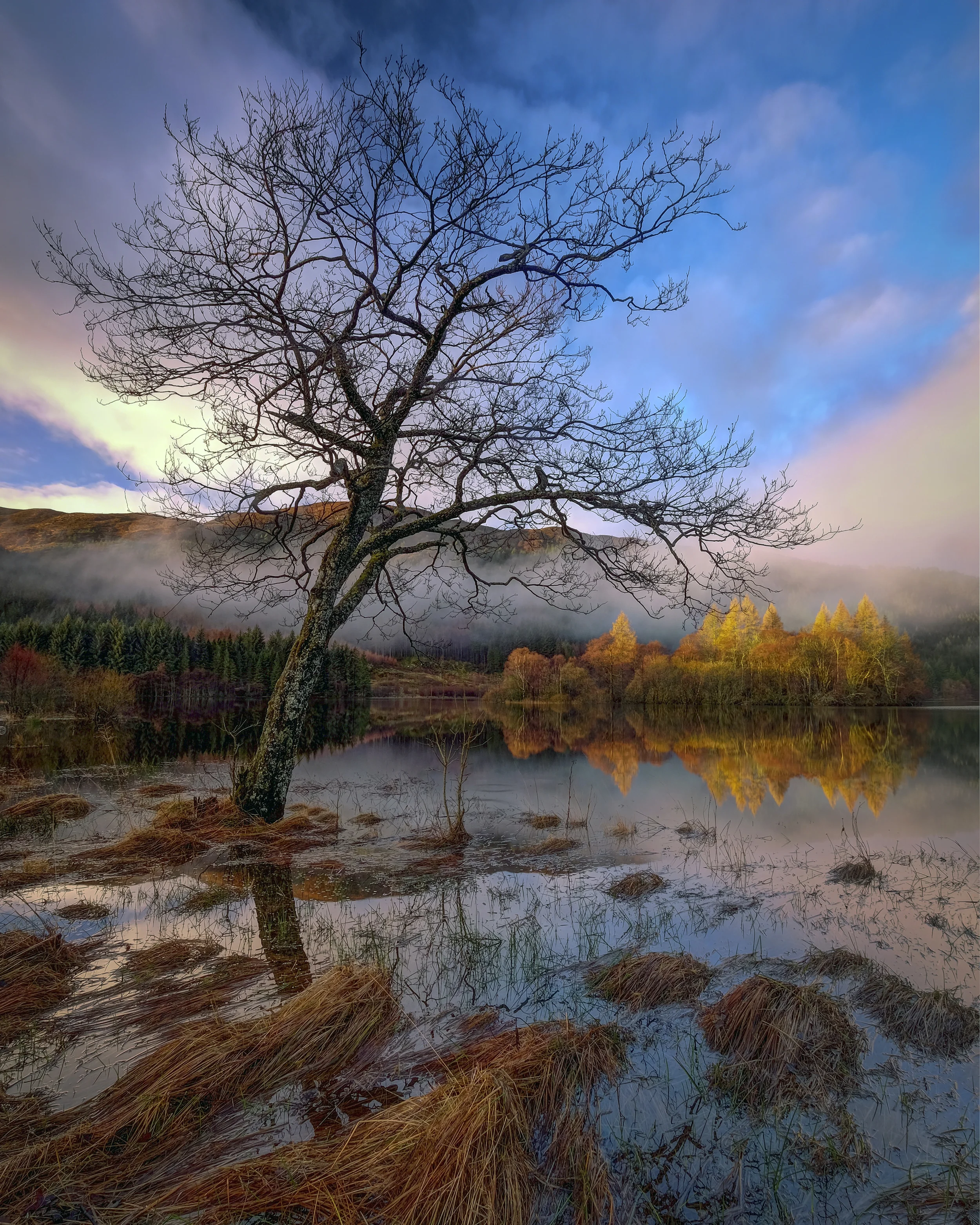 Loch Chon