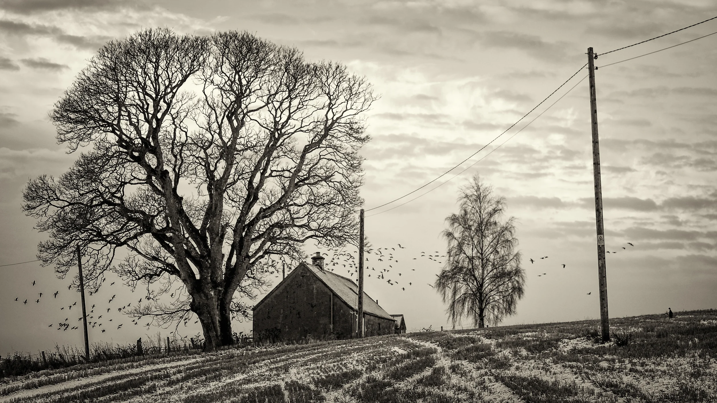 Perthshire Farm