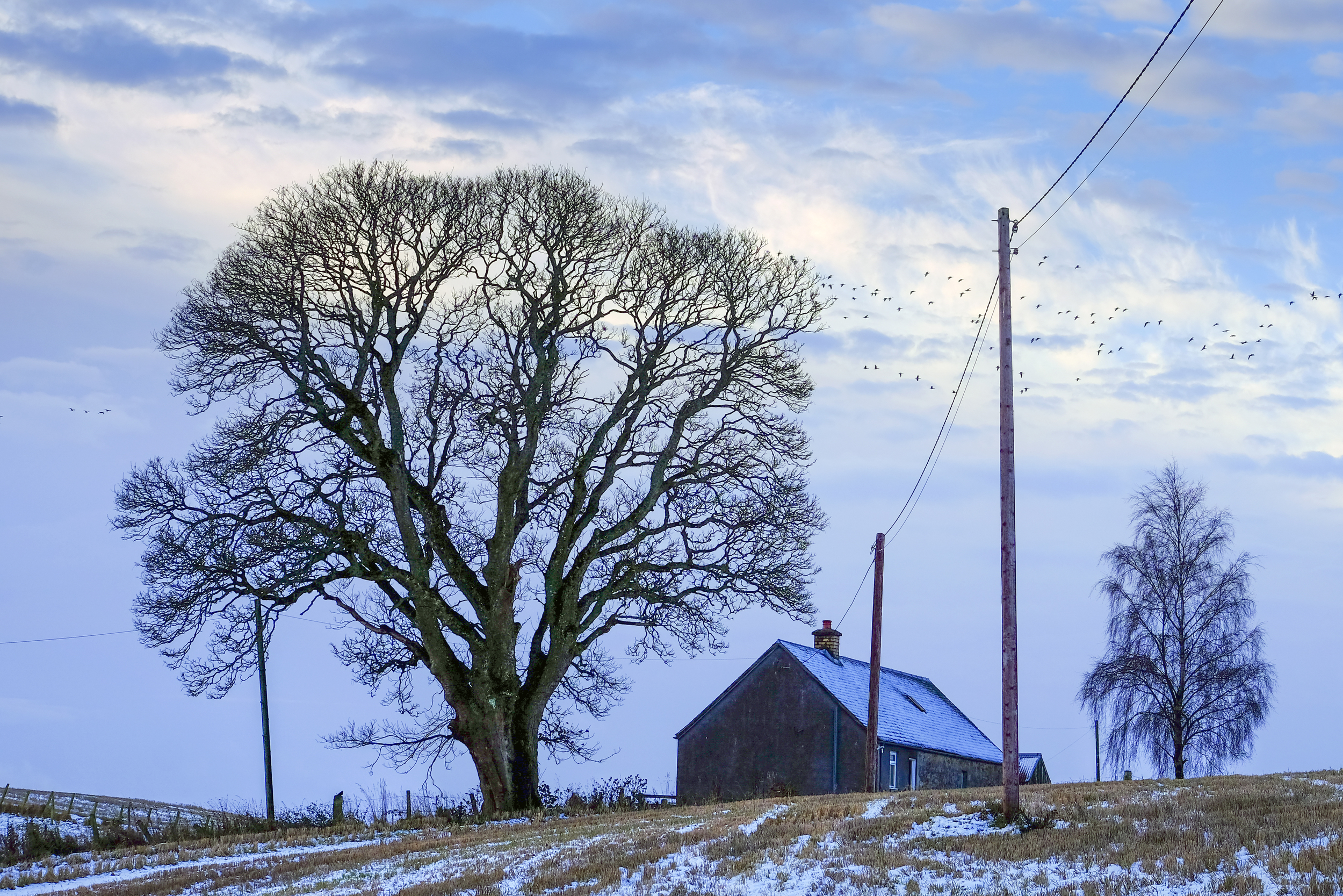 Perthshire Farm