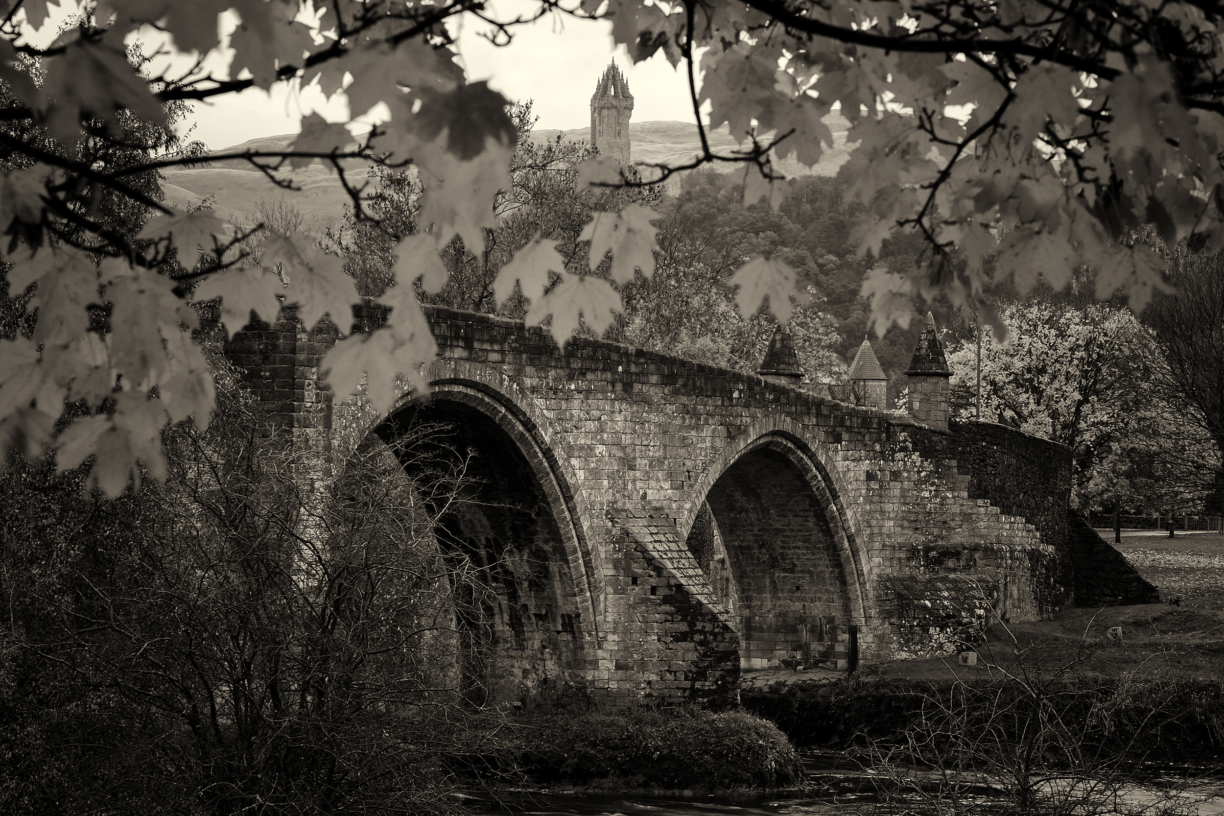 Stirling Bridge