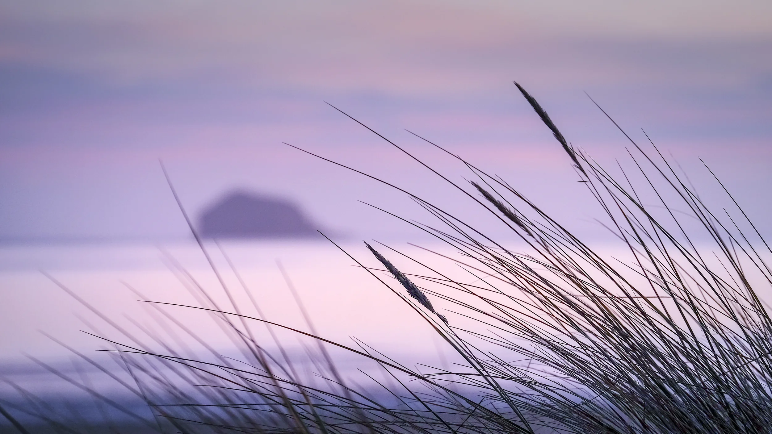 Bass Rock