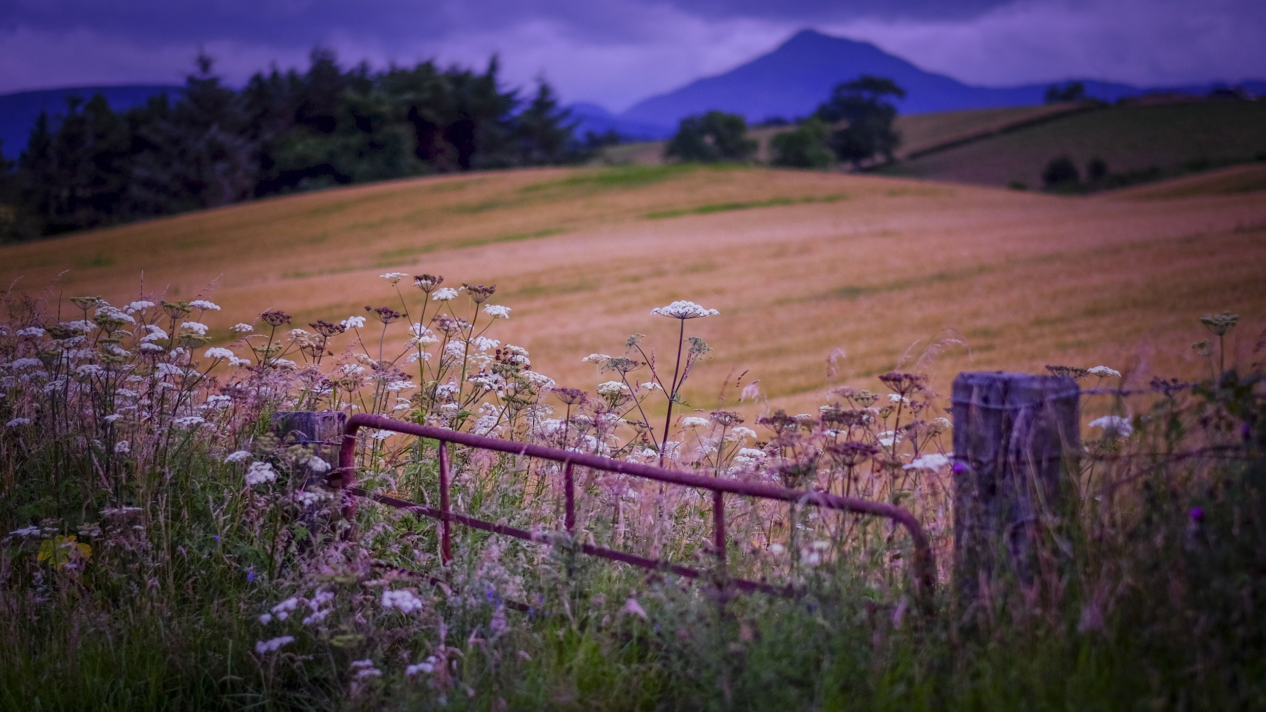 Carse of Stirling