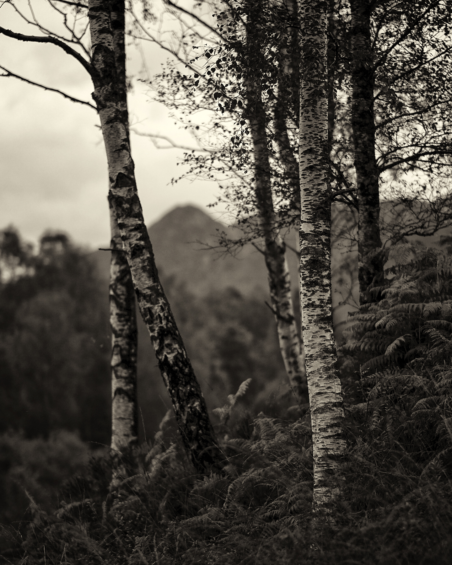 Dukes Pass, Trossachs