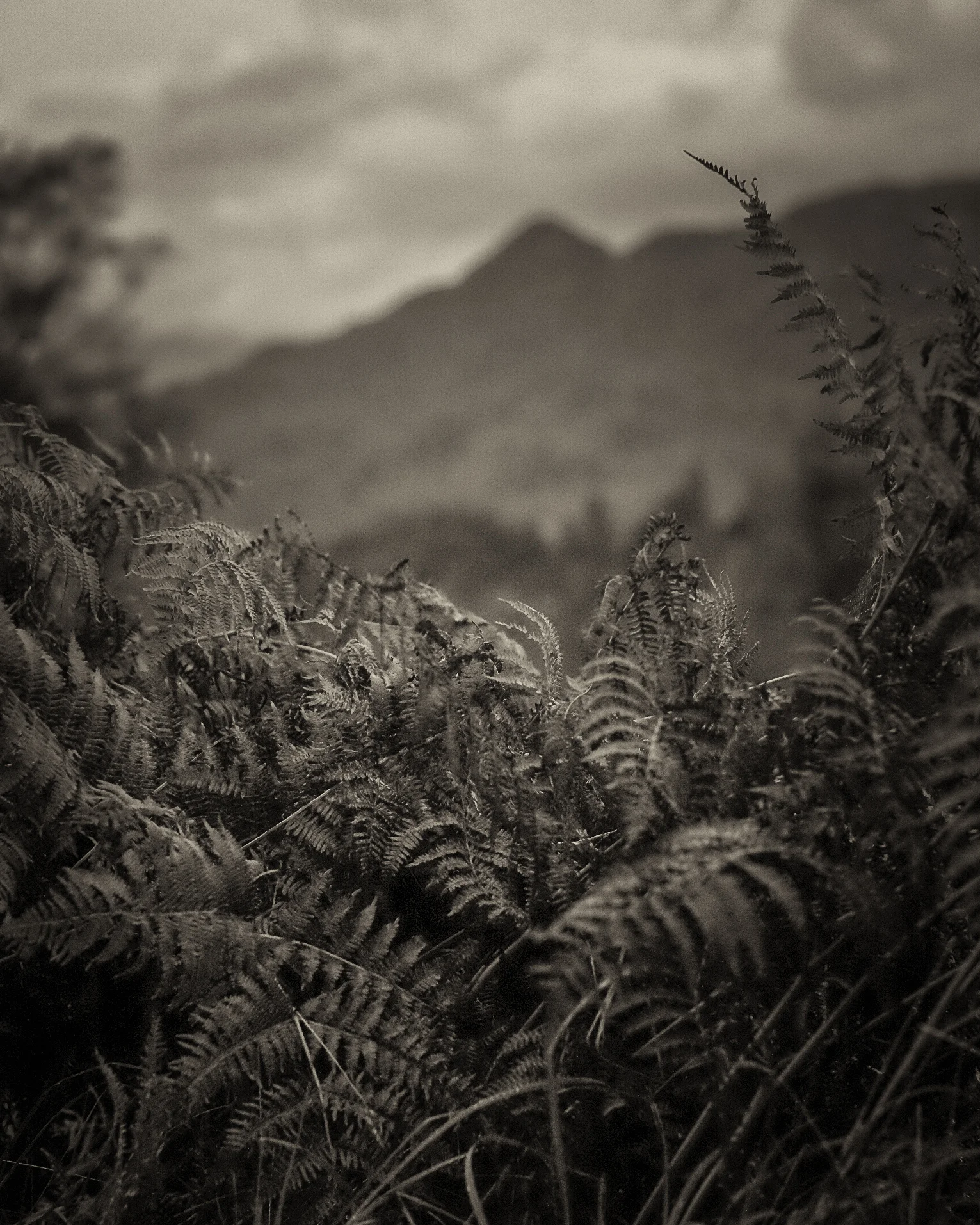 Dukes Pass, Trossachs