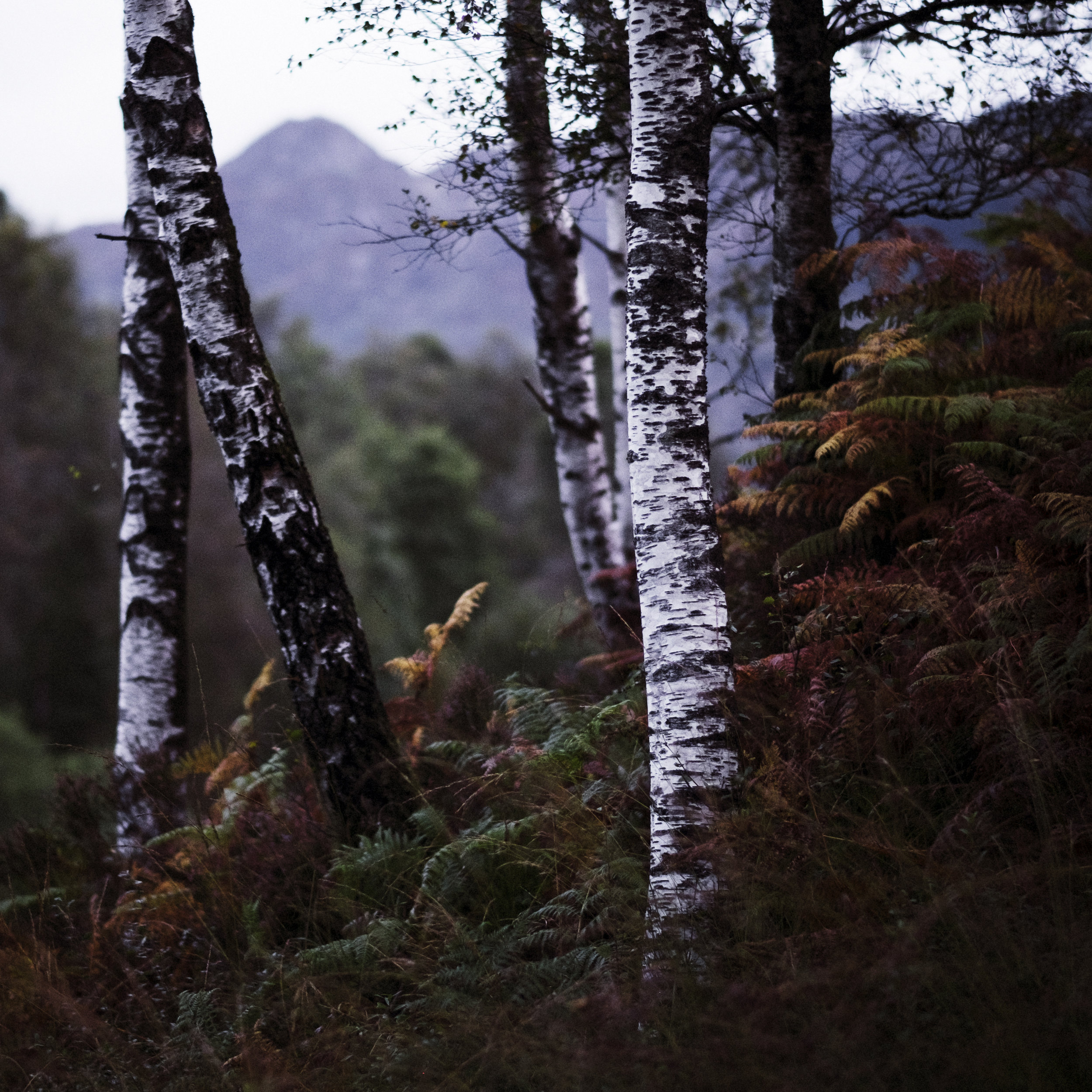 Dukes Pass, Trossachs