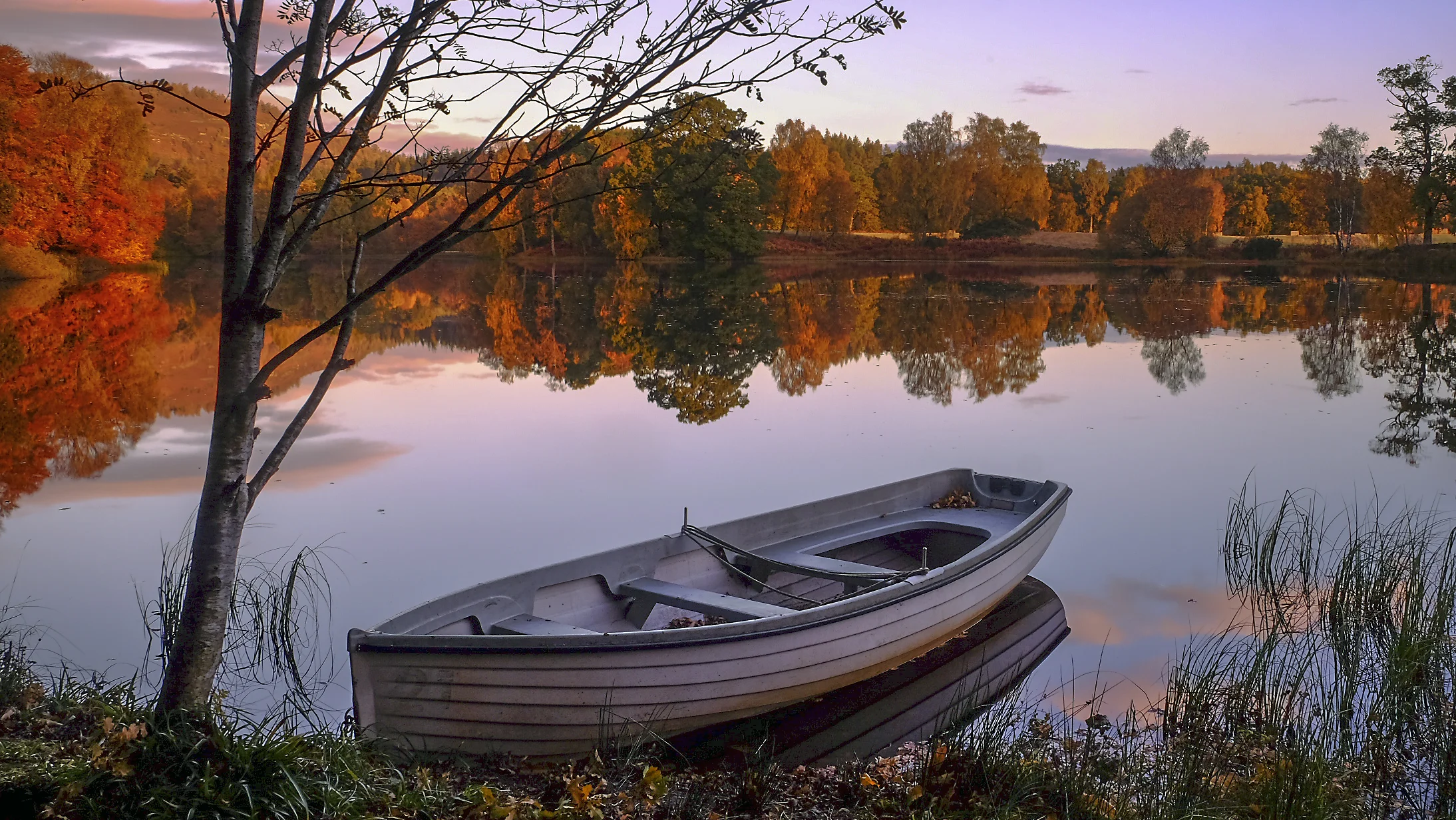 Rhohallion Loch, Perthshire
