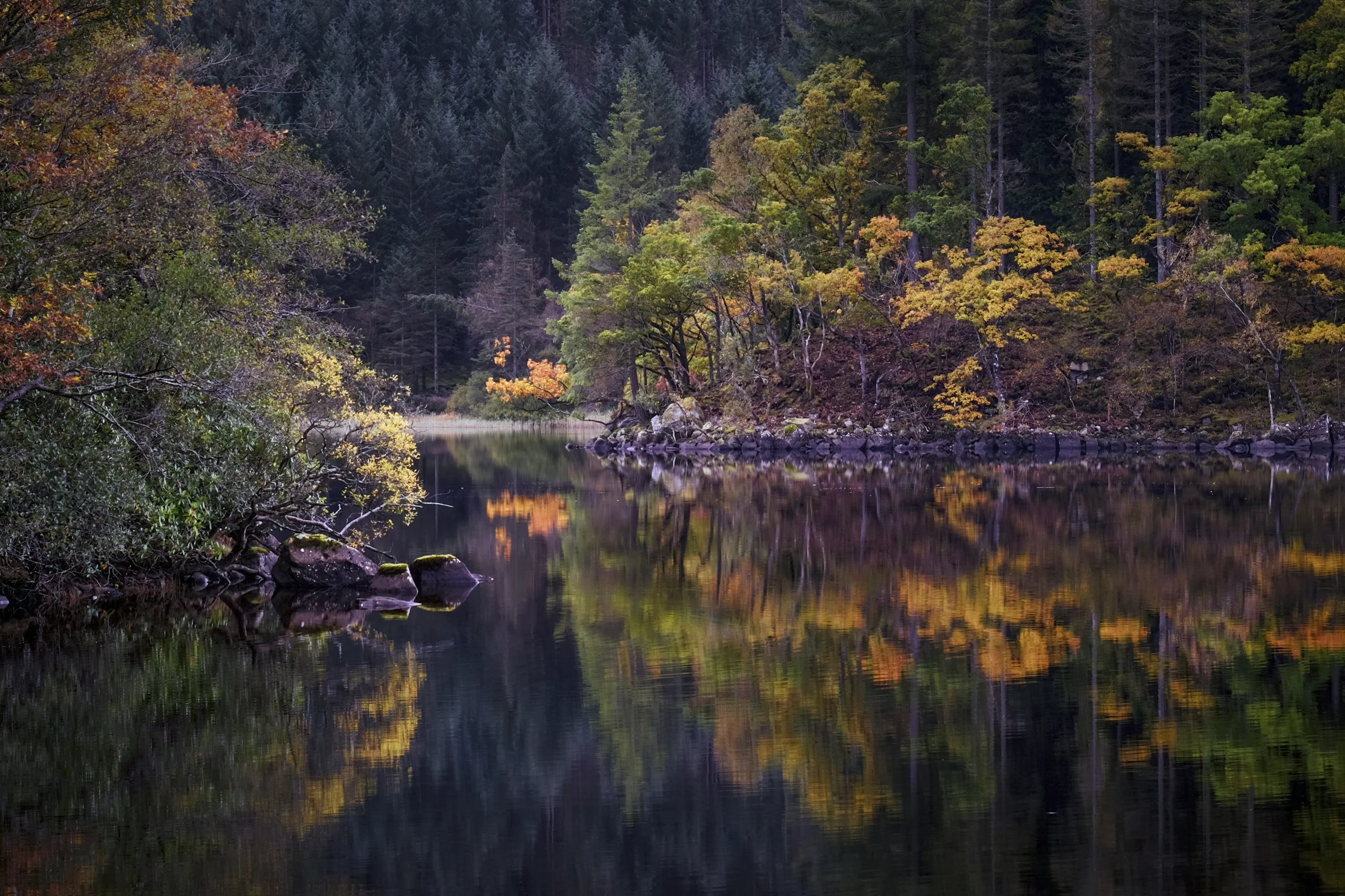 Loch Ard