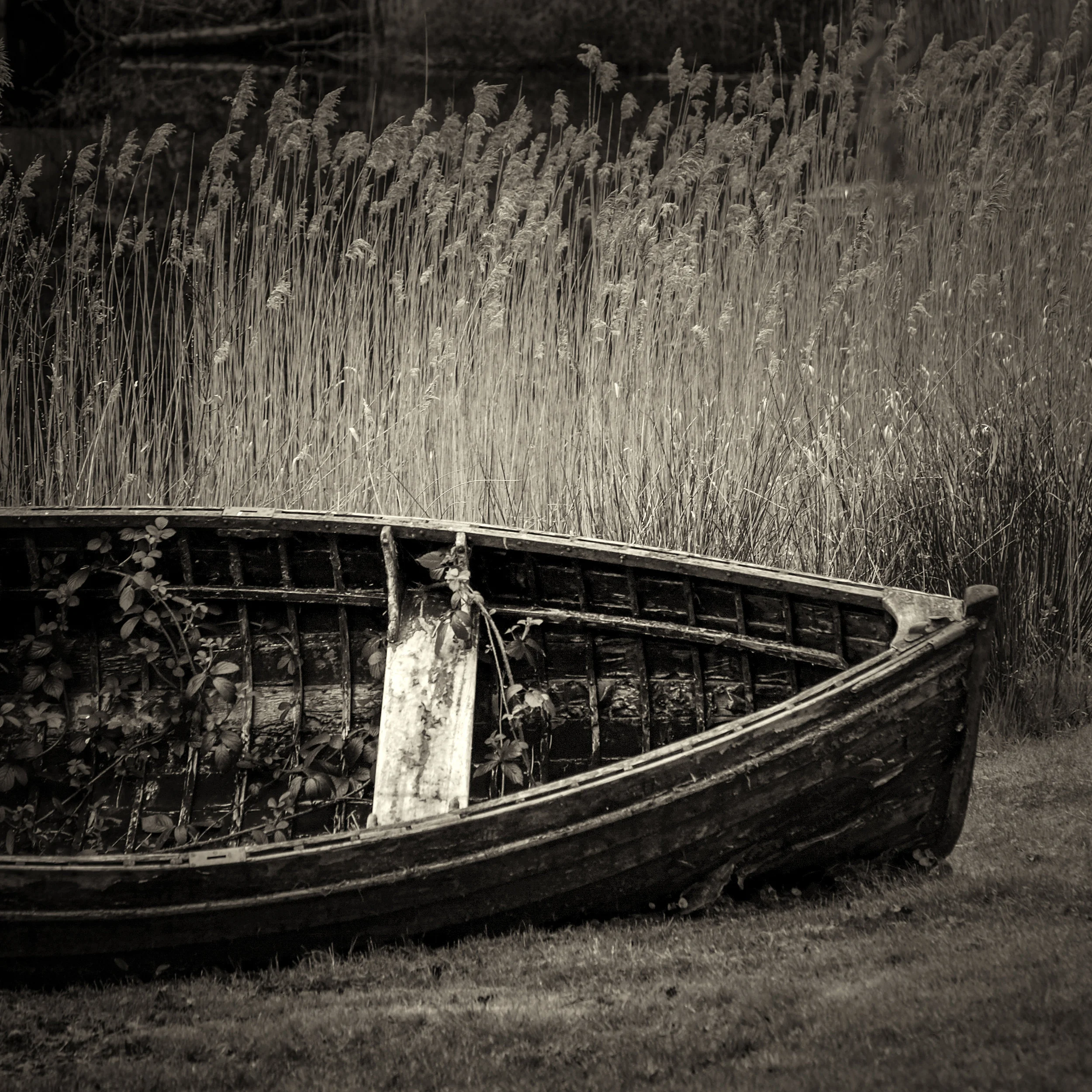 Loch Ard Hulk
