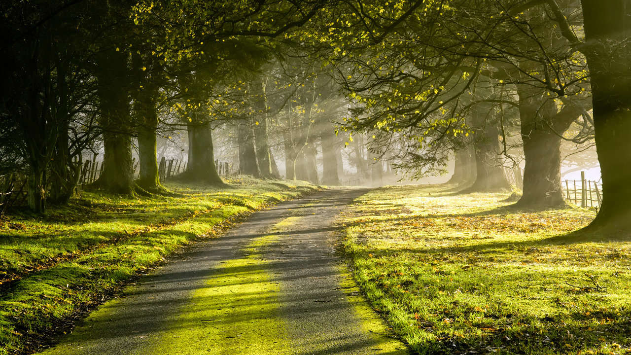 Culcruach Morning Sun