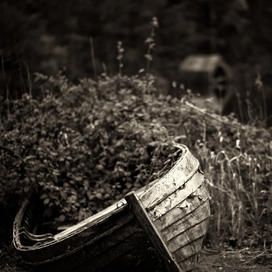 Decay, Milton Basin