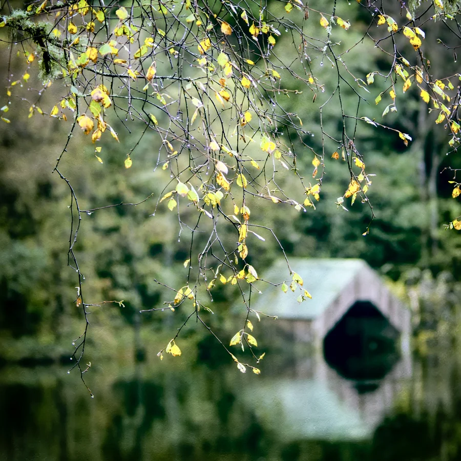 Seasons end, Milton Basin
