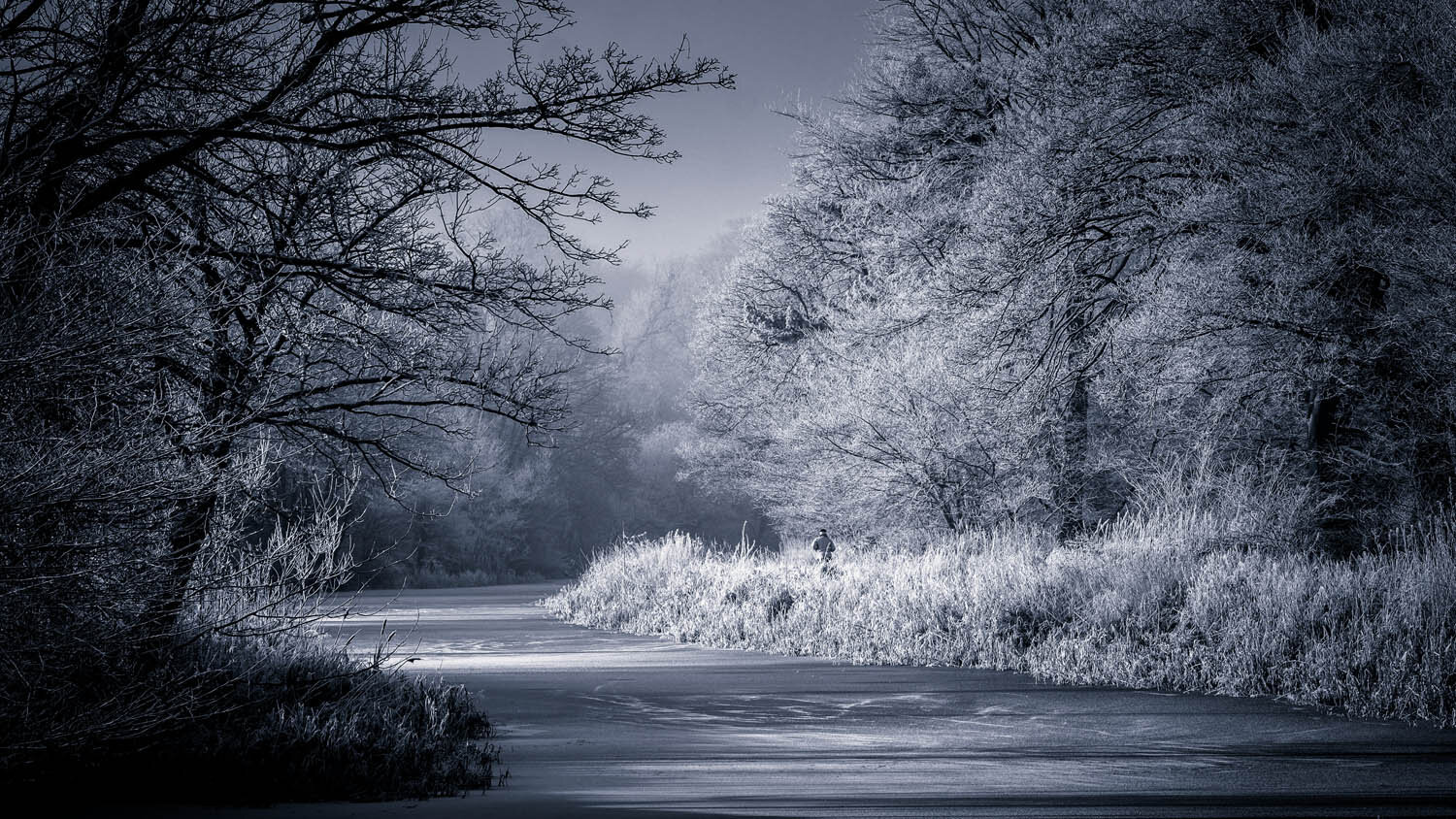 canallight.jpg