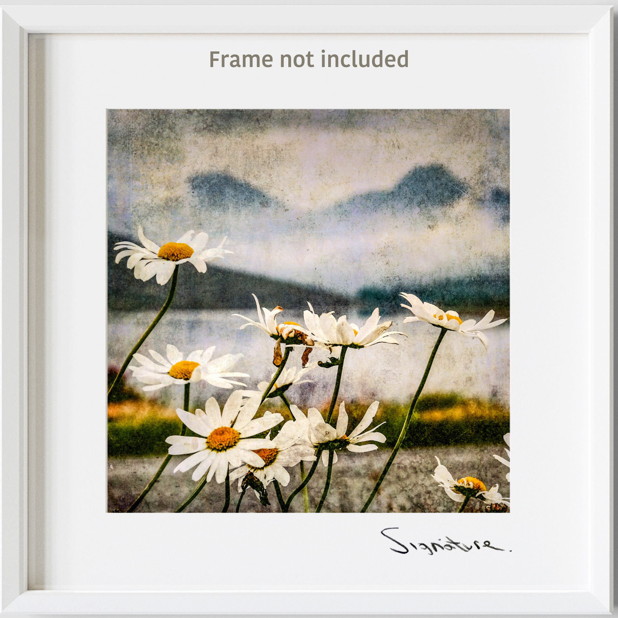 Frame not included.png
