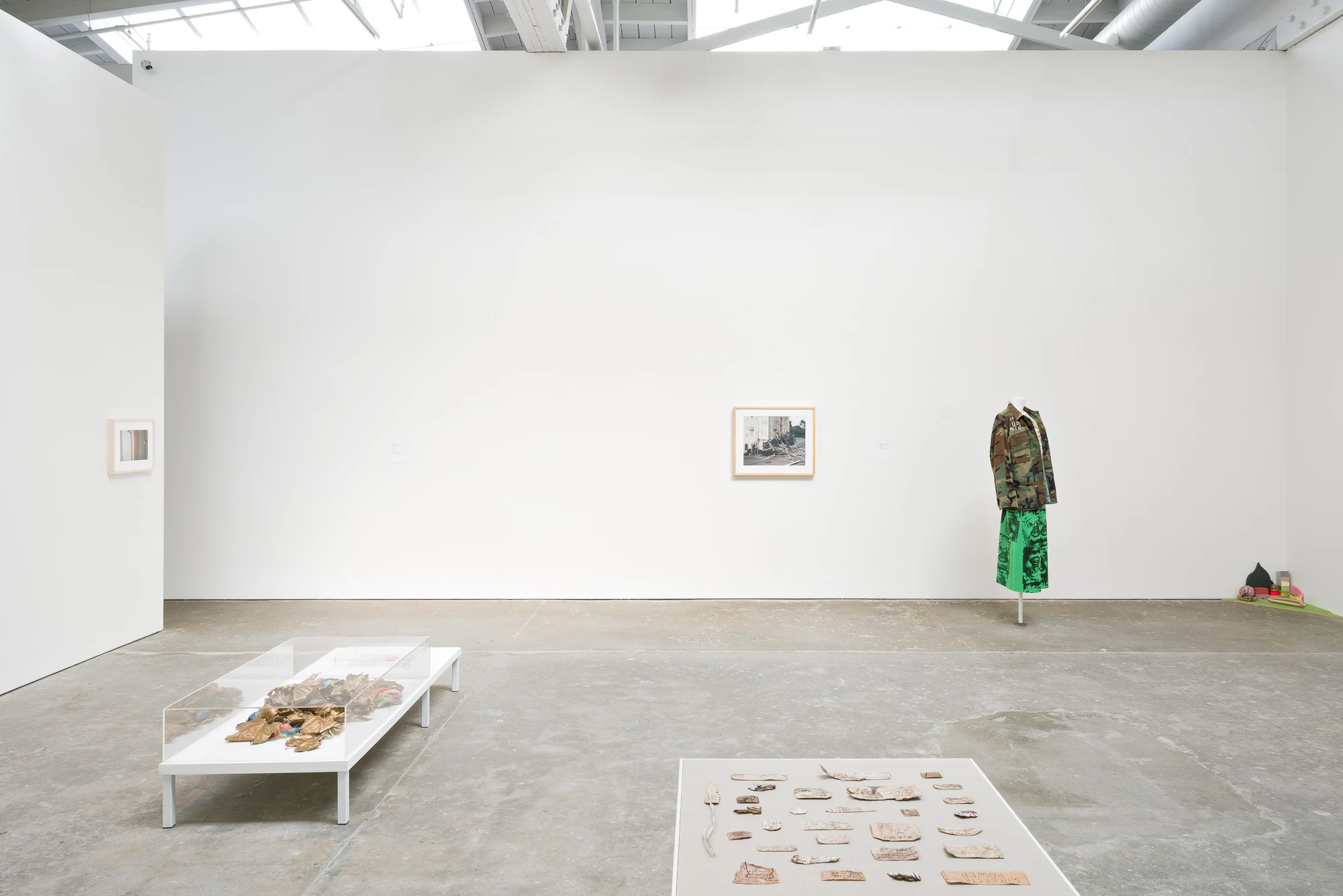 Artwork for Bedrooms @ The Wattis Institute Featuring works by Tauba Auerbach, Sarah Cain, Ajit Chauhan, Veronica DeJesus, Colter Jacobsen, Sahar Khoury, Alicia McCarthy, and Will Rogan.