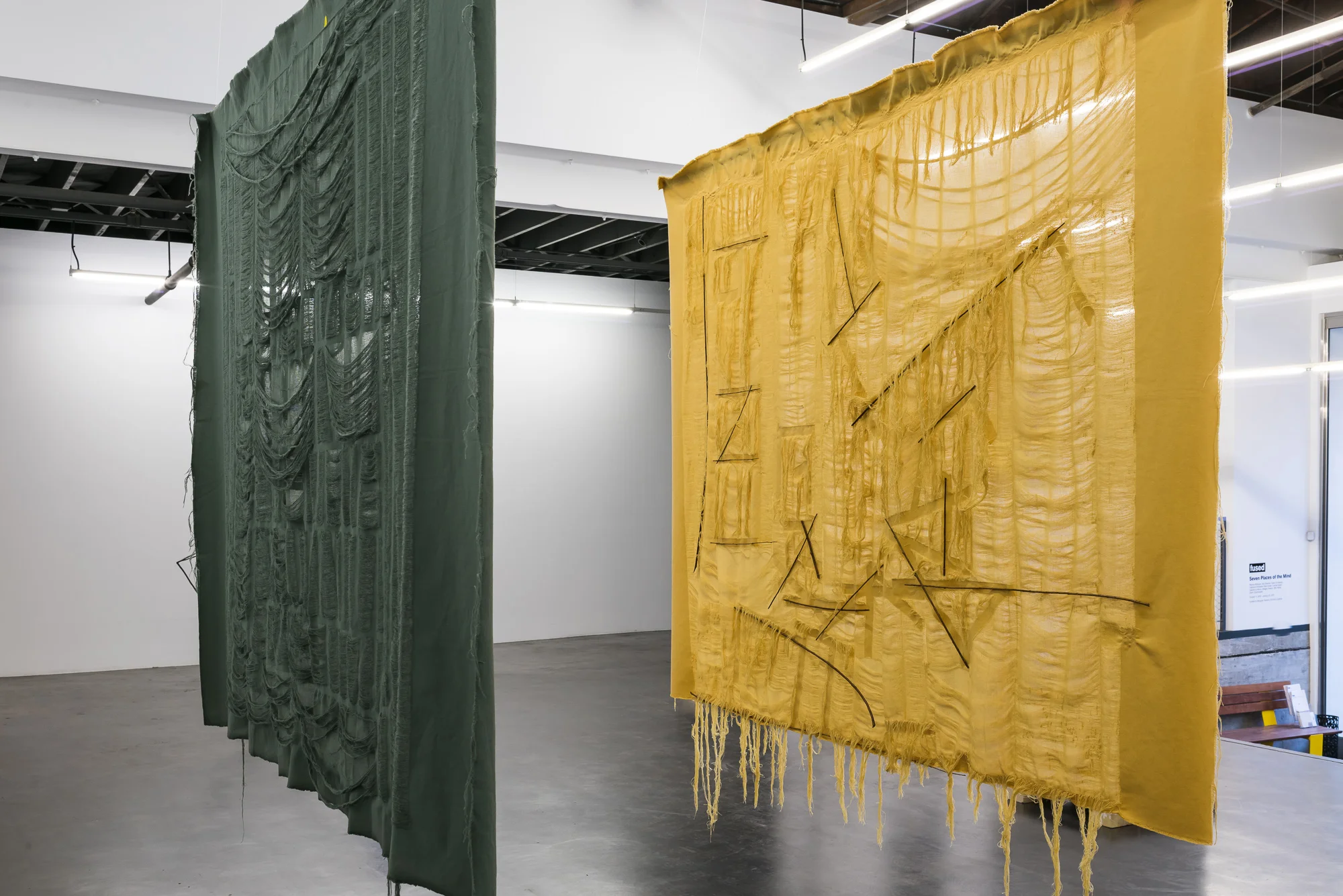 Dreeem nooothowgeeii 79 x 60 inches muy muy/ momentary thing 72 x 60 inches