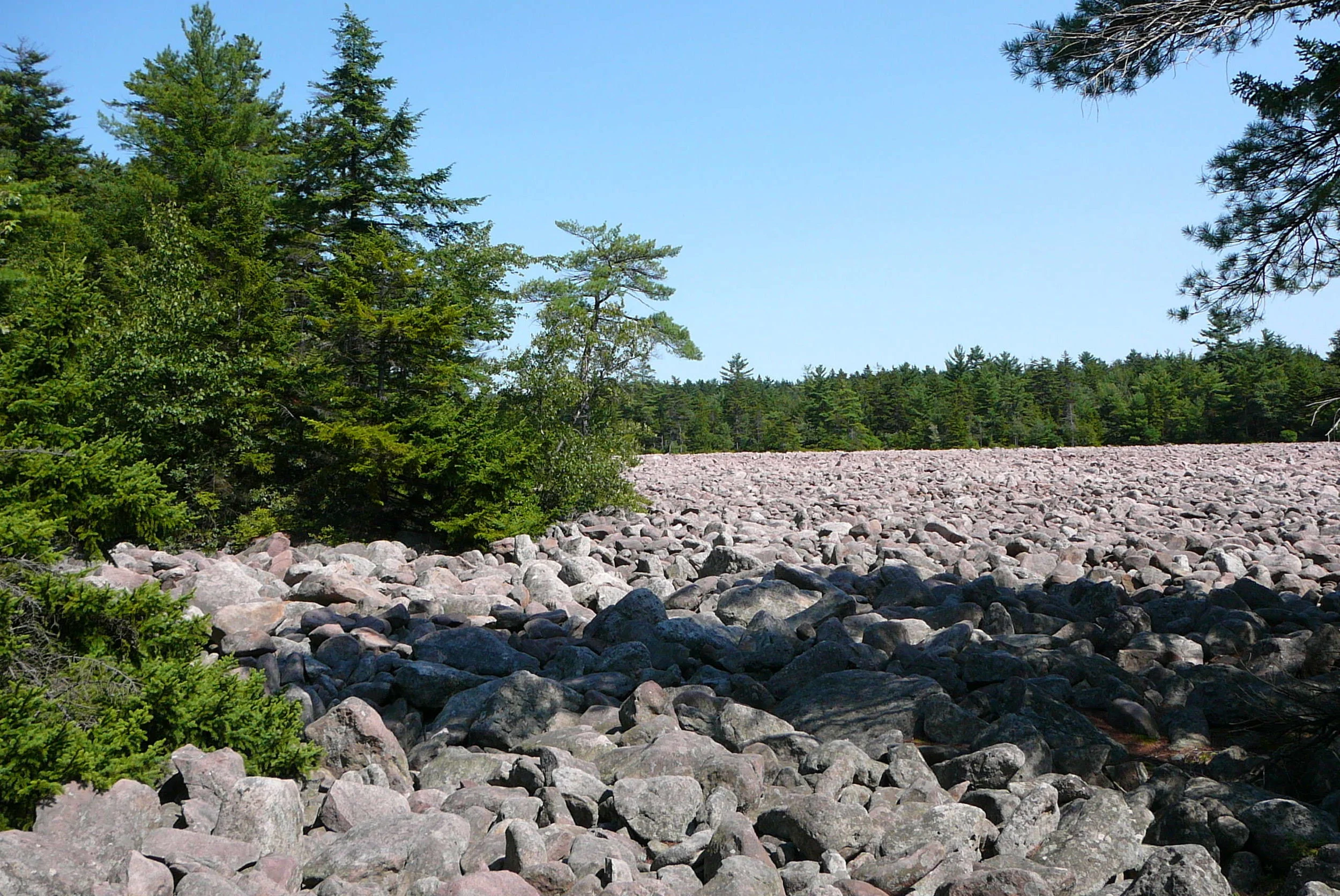 Scenic-Boulder-Field-Hickory-Run-State-Park-3-Low-Res-PoconoMtns0-b78fe814ec8eb3b_b78fec5d-cb8b-860e-297f9f643f8ca0da.jpg