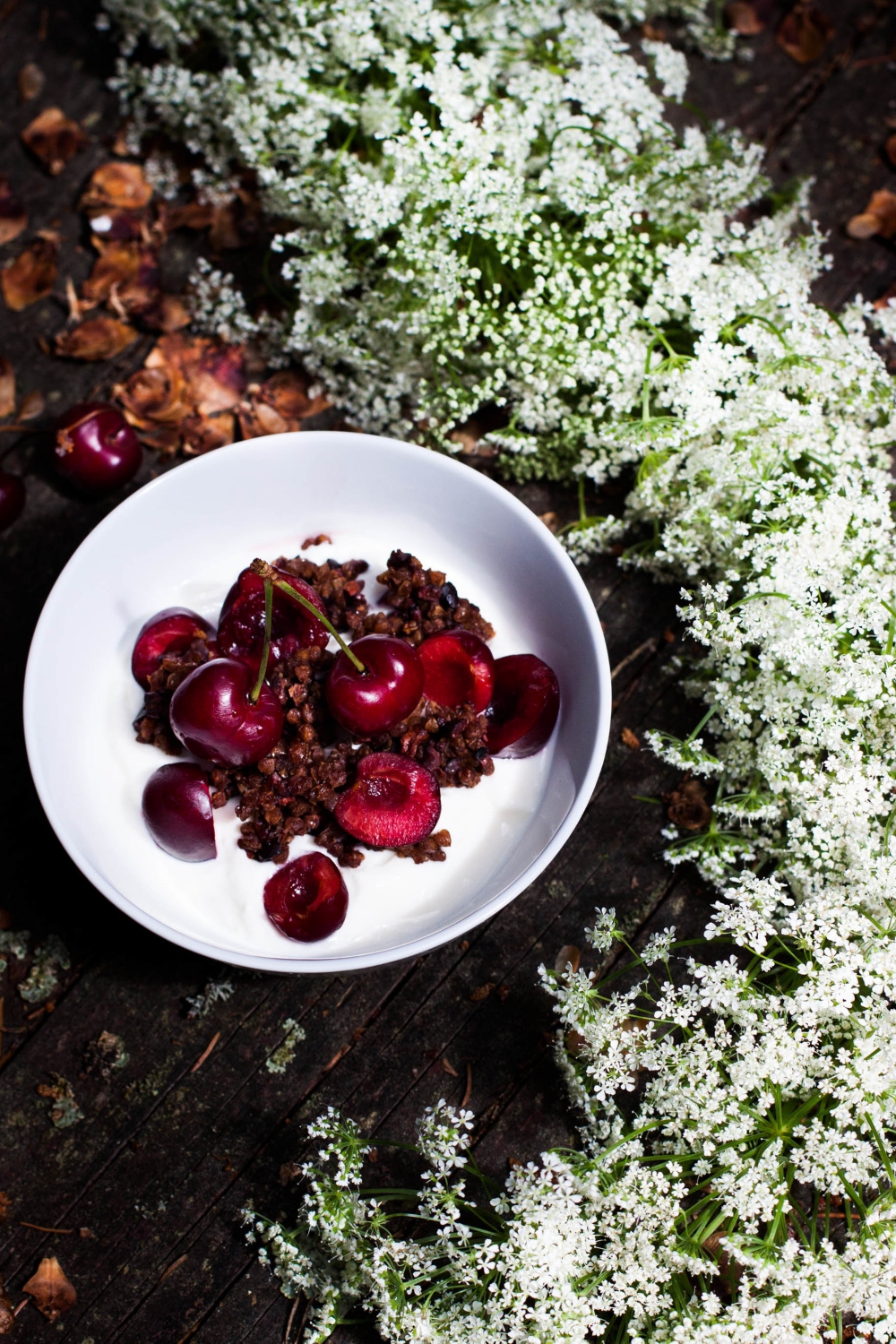 Double Cacao Buckwheat Granola | my blue&white kitchen