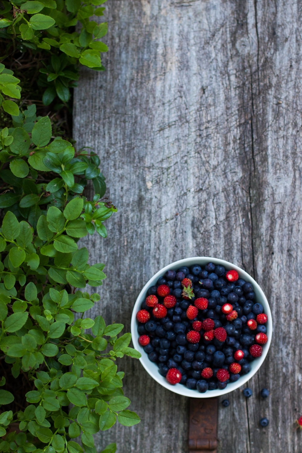 Mini Almond Pavlovas with Forest Berries | my blue&white kitchen