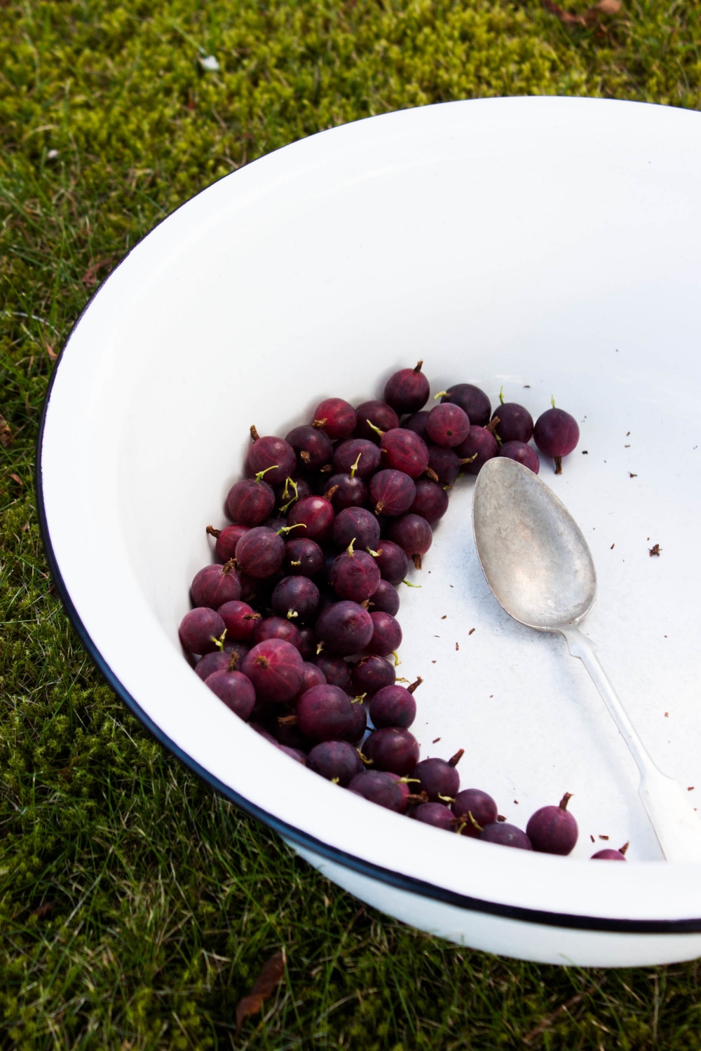 Gooseberry Clafoutis | My Blue&White Kitchen