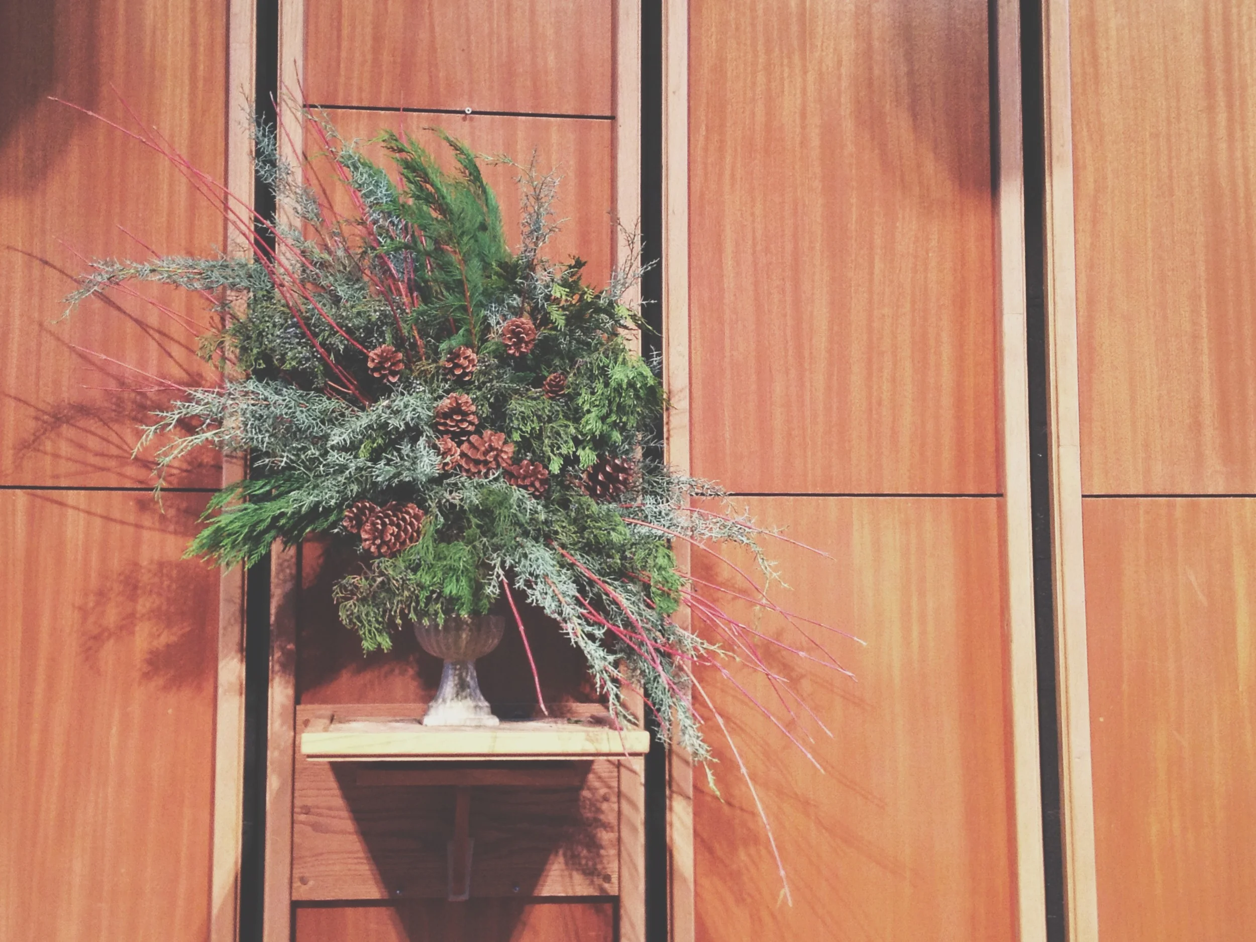 Christmas Greens and Pinecones Arrangement