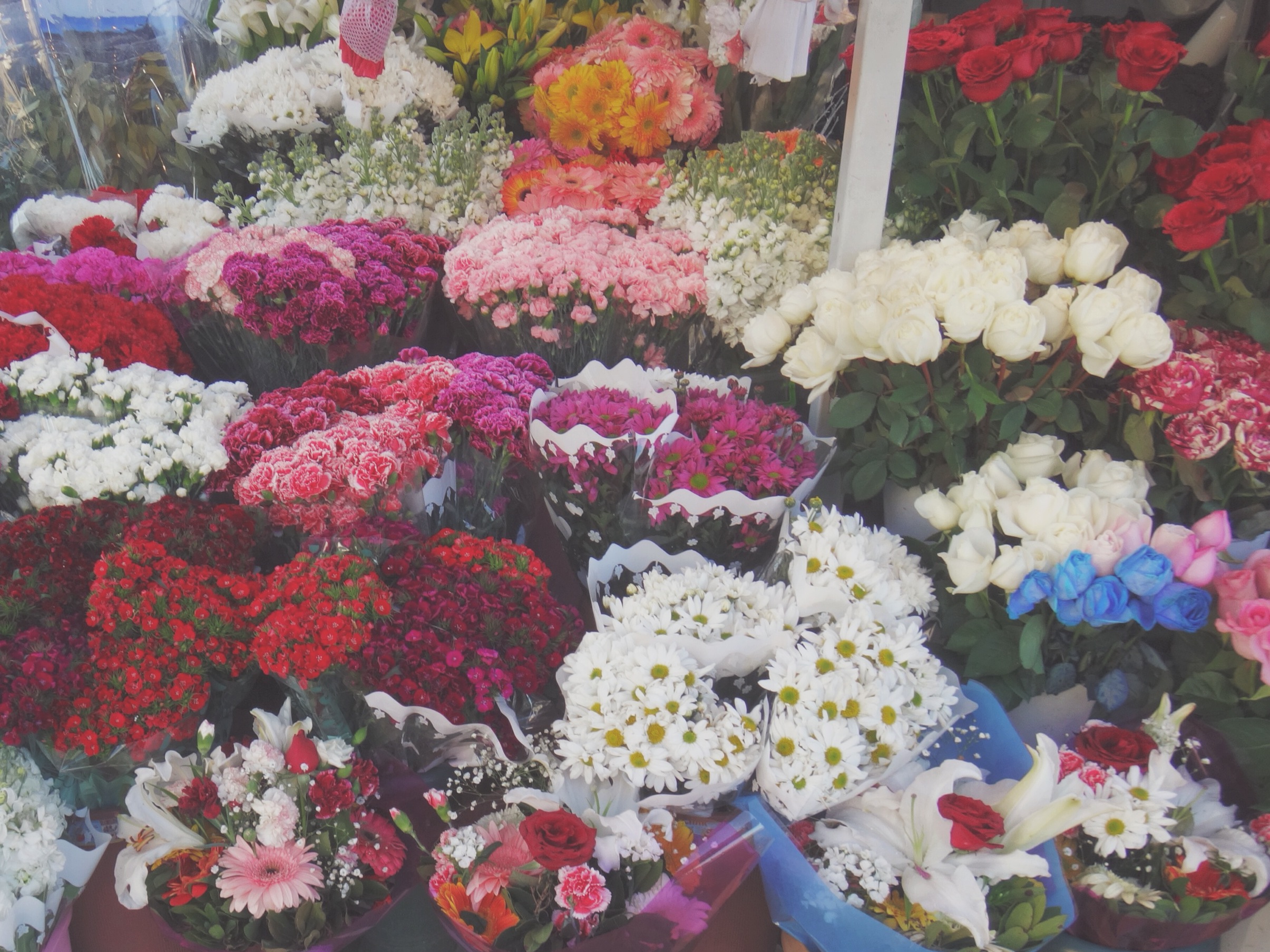 Flower Shop at Taksim Square, Istanbul