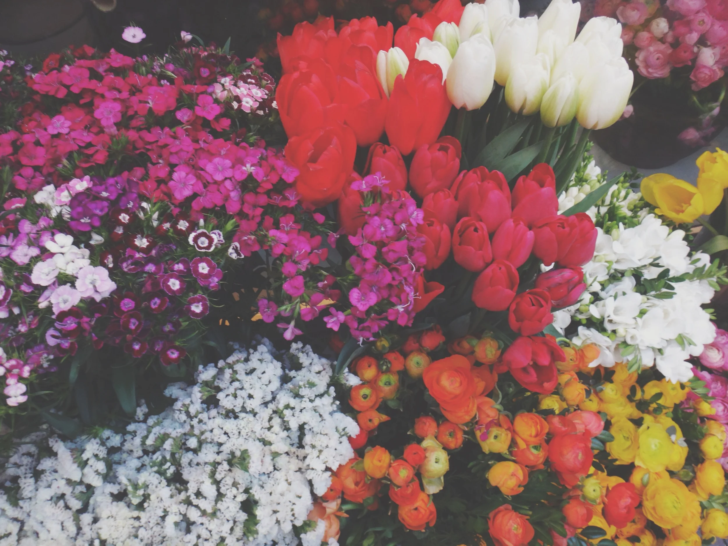 Flowers on Istiklal Street, Istanbul